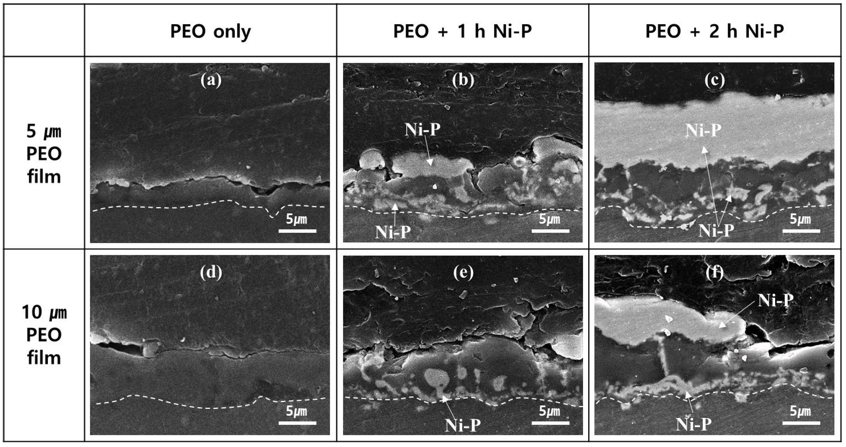 Coatings 13 00160 g003 Coatings 13 00160 g003
