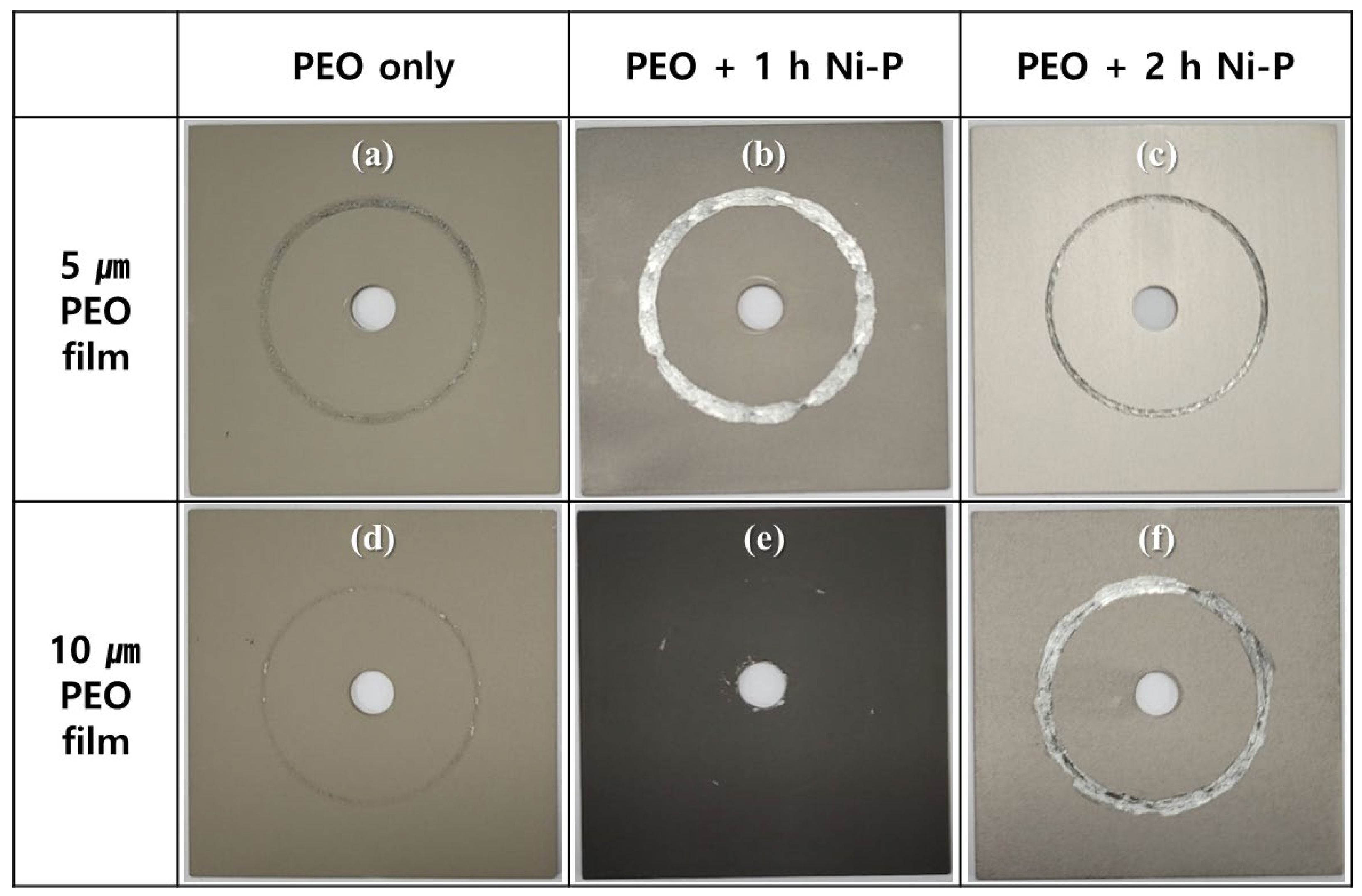Coatings 13 00160 g005 Coatings 13 00160 g005
