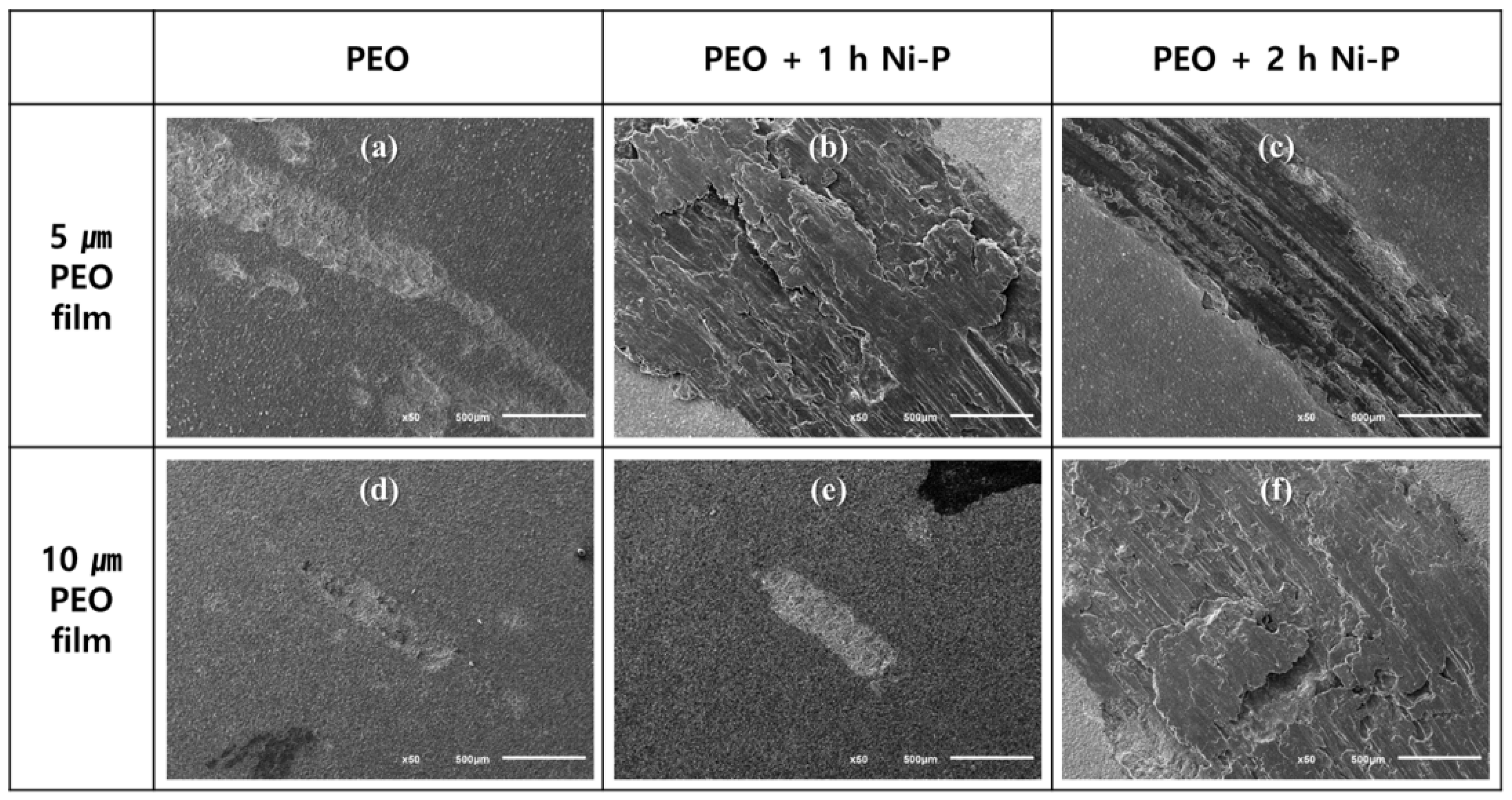 Coatings 13 00160 g006 Coatings 13 00160 g006