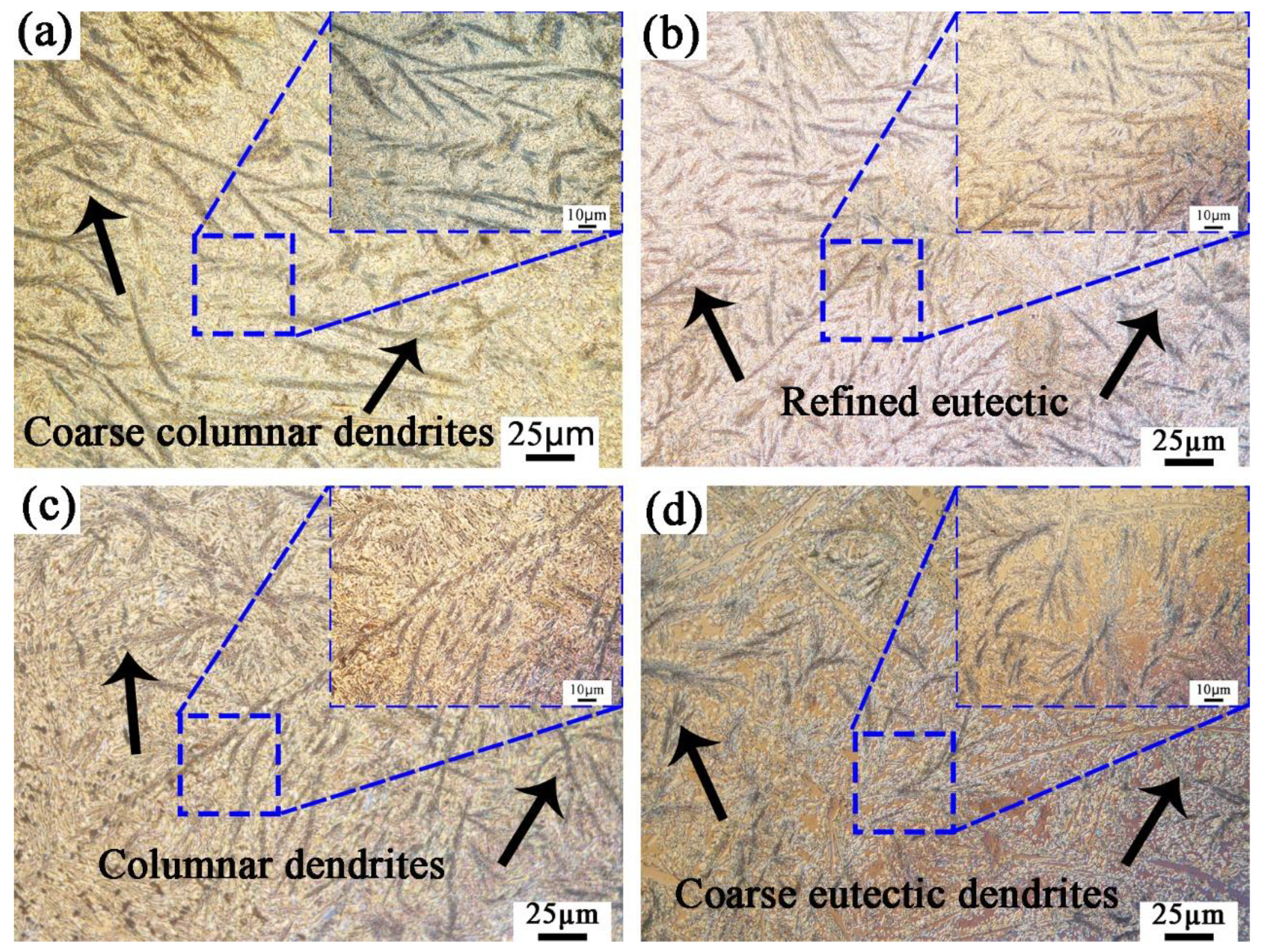 Coatings 13 00161 g001
