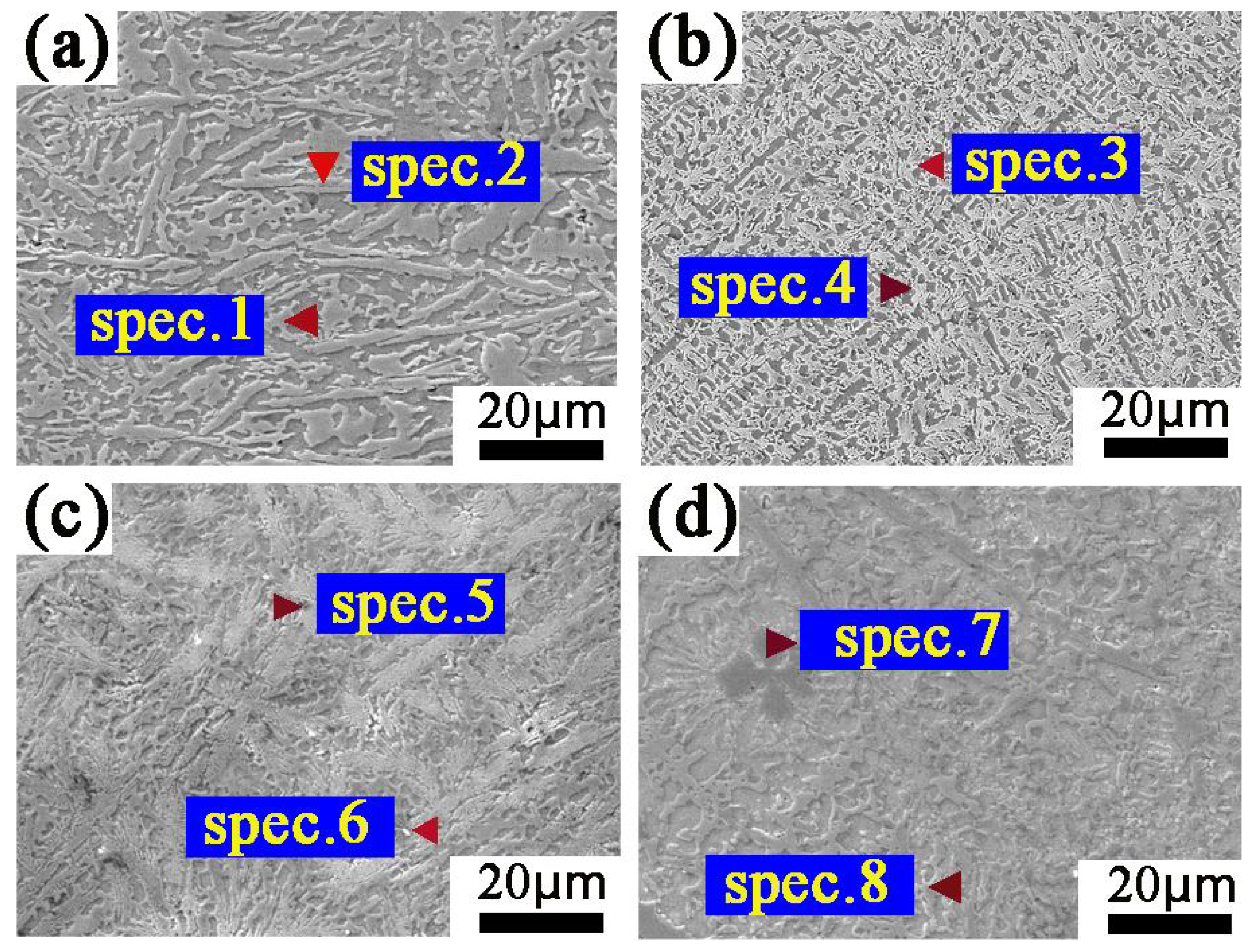 Coatings 13 00161 g003