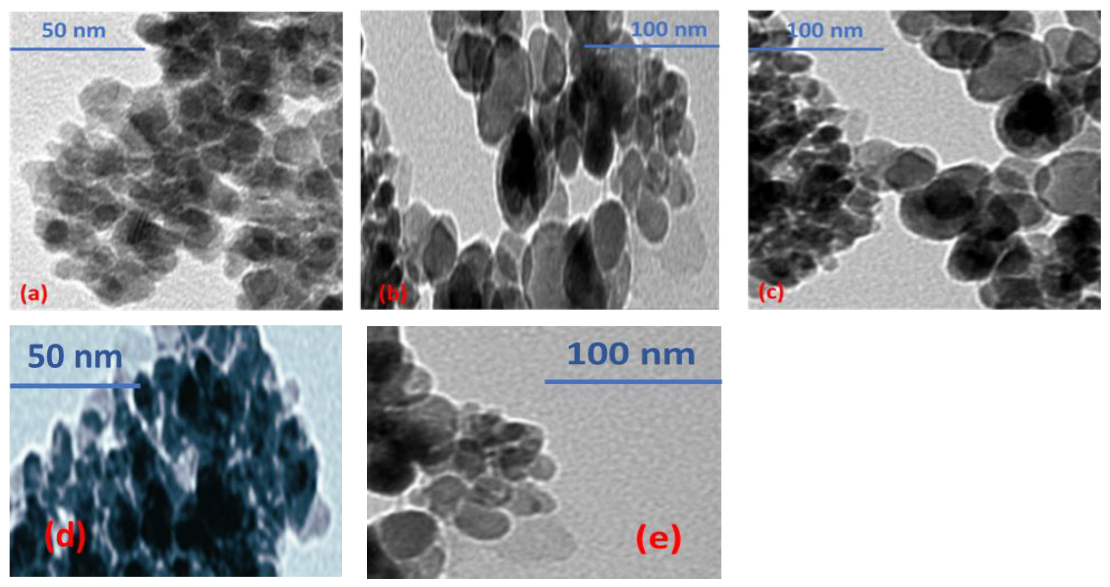 Coatings 13 00167 g003