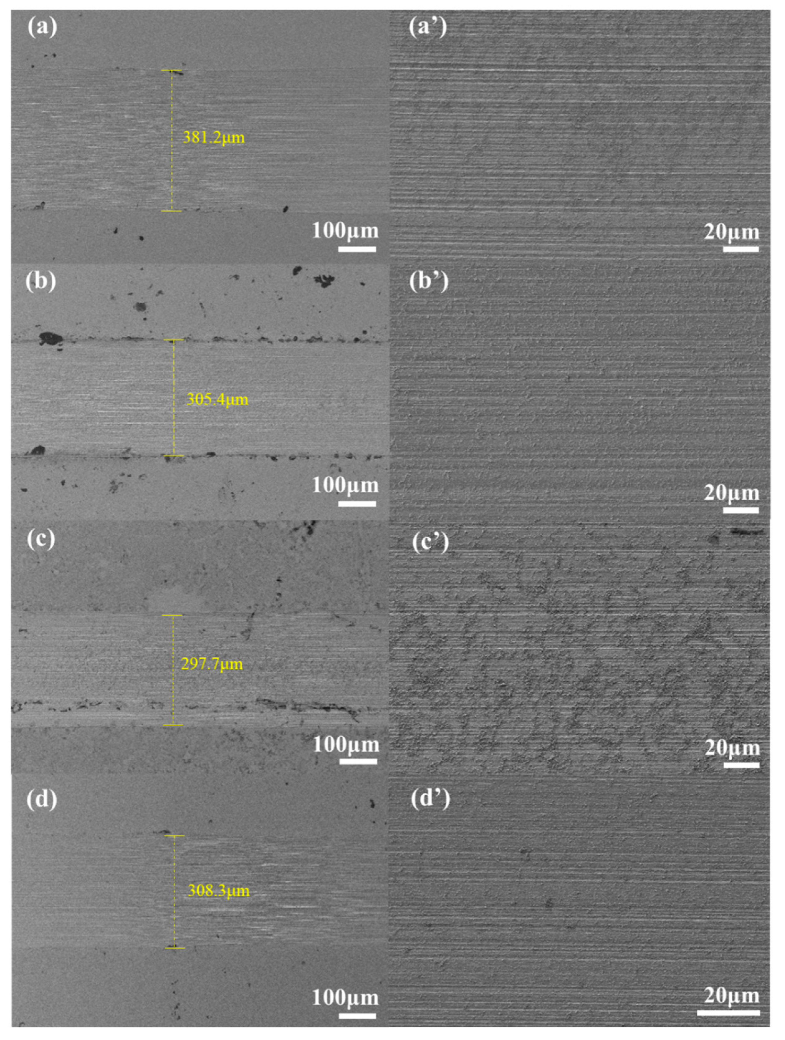 Coatings 13 00168 g010