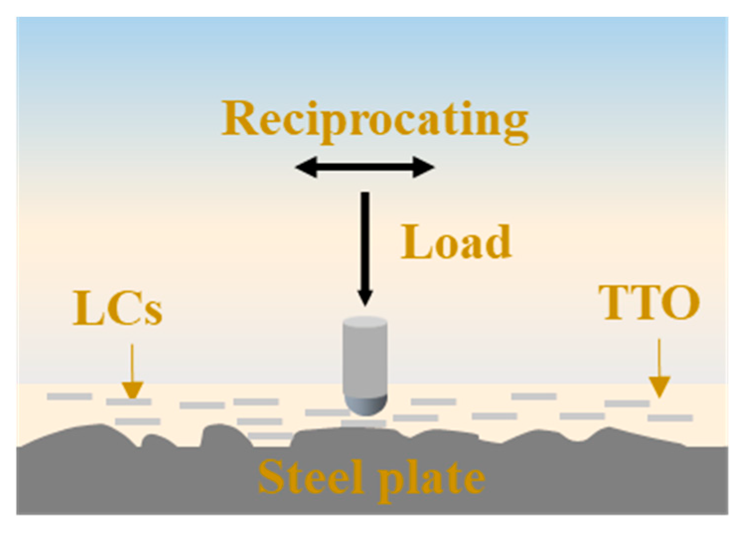 Coatings 13 00168 g012
