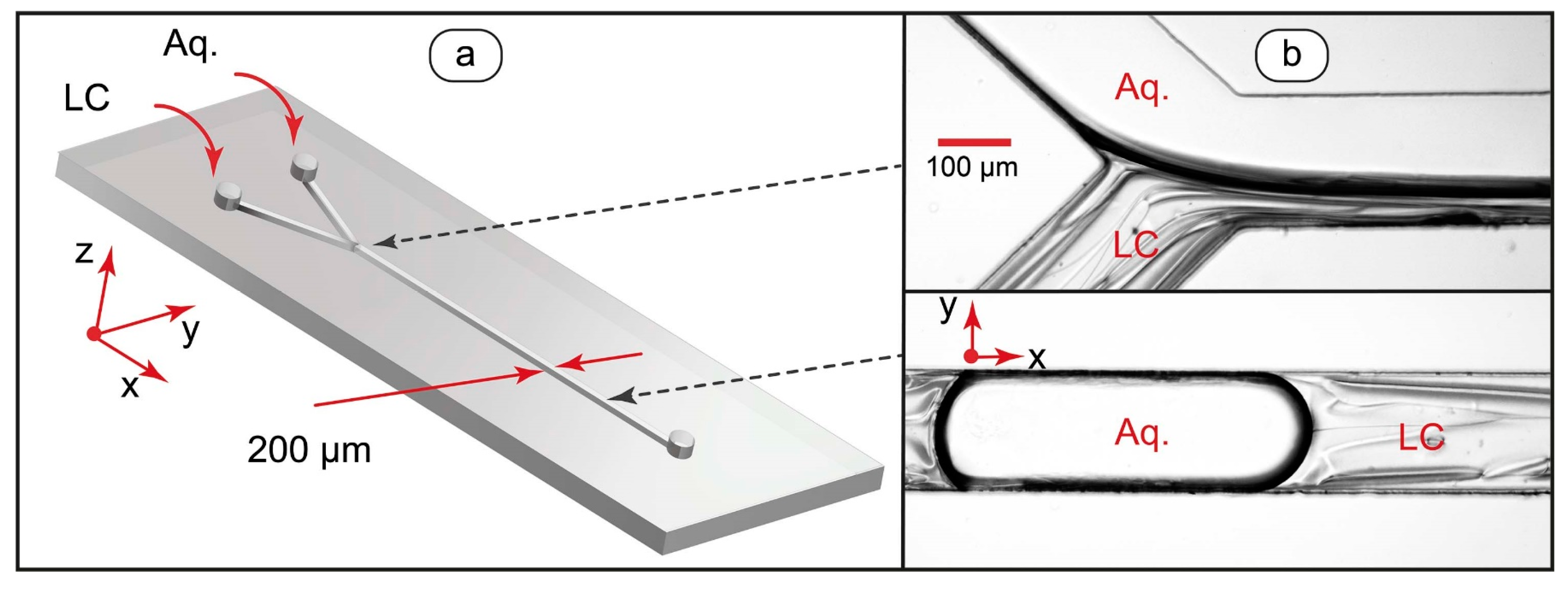 Coatings 13 00169 g001