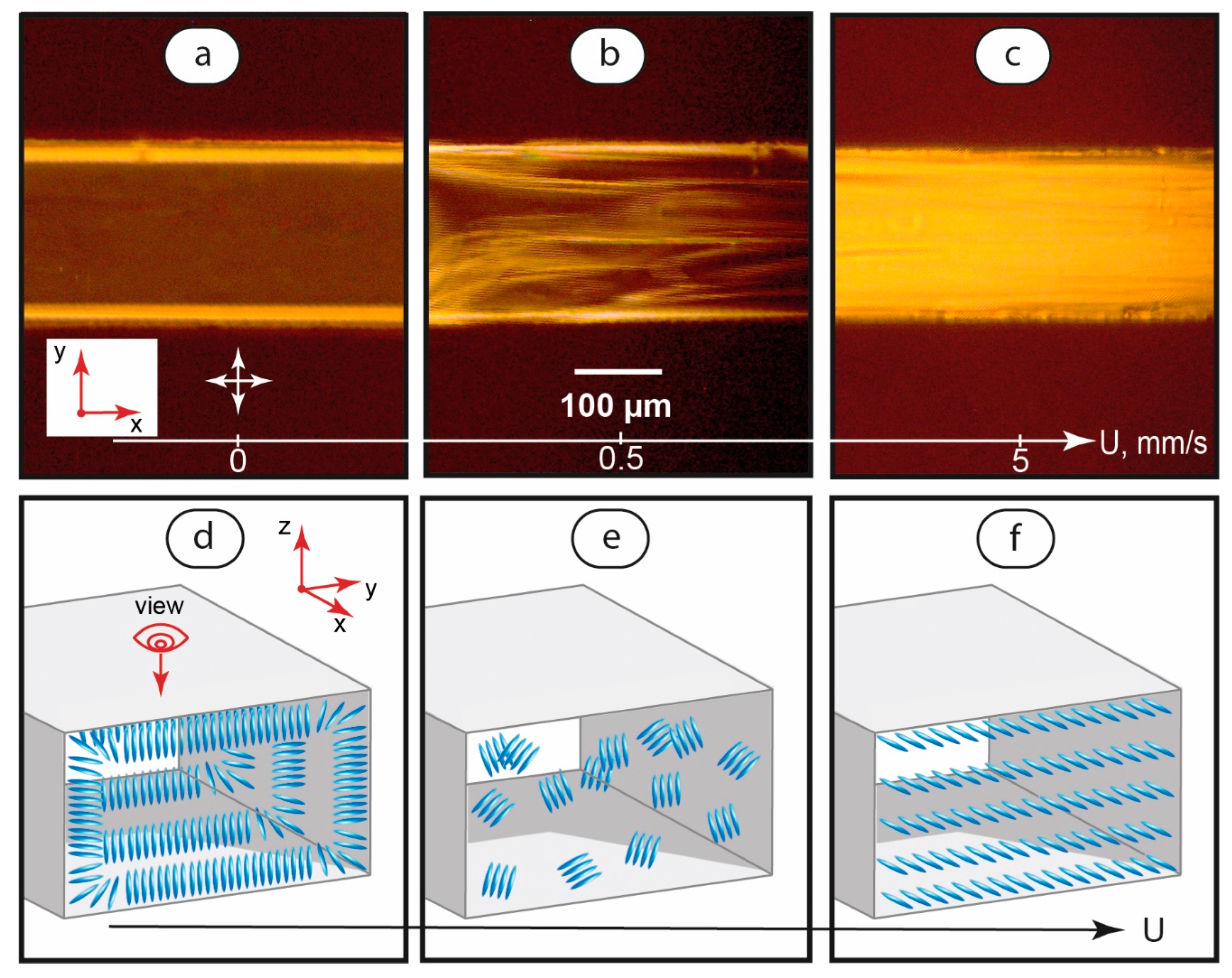 Coatings 13 00169 g002