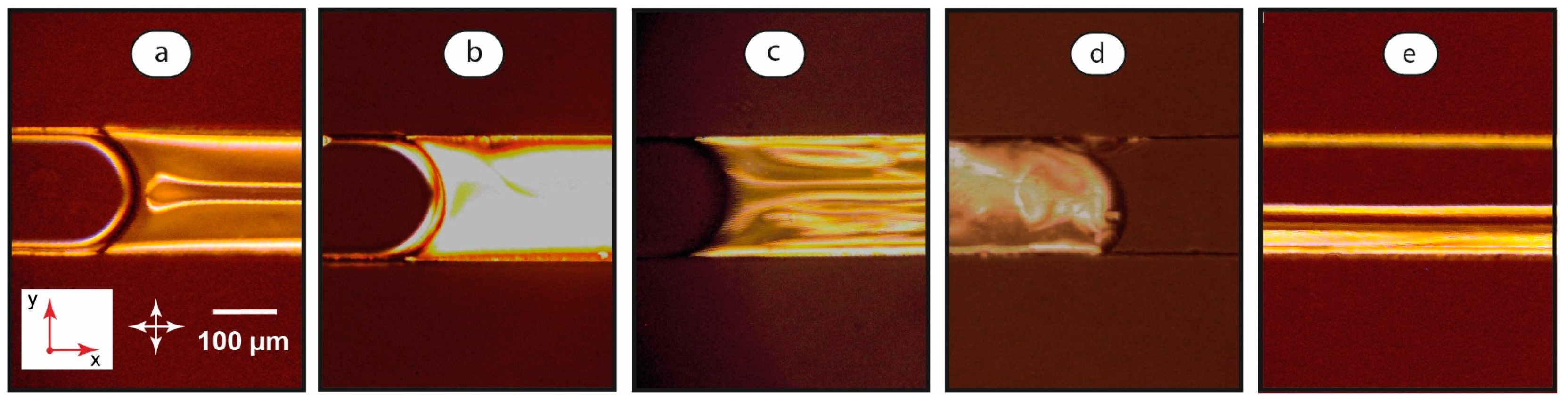 Coatings 13 00169 g003