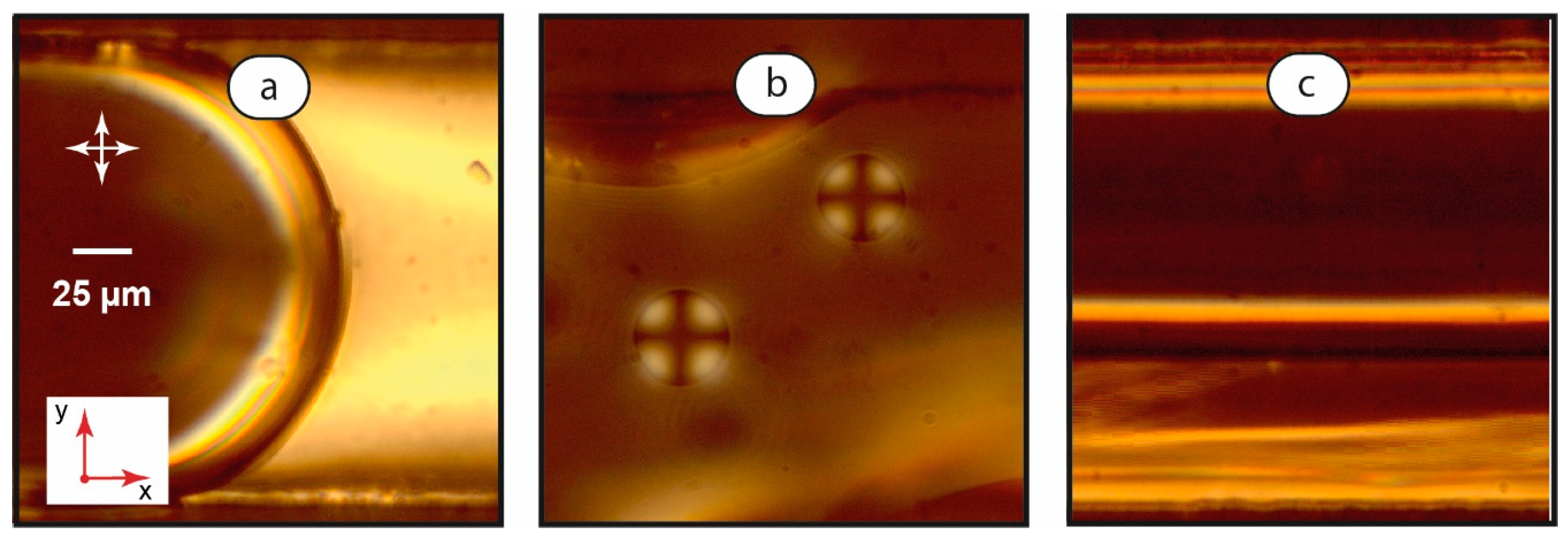 Coatings 13 00169 g004