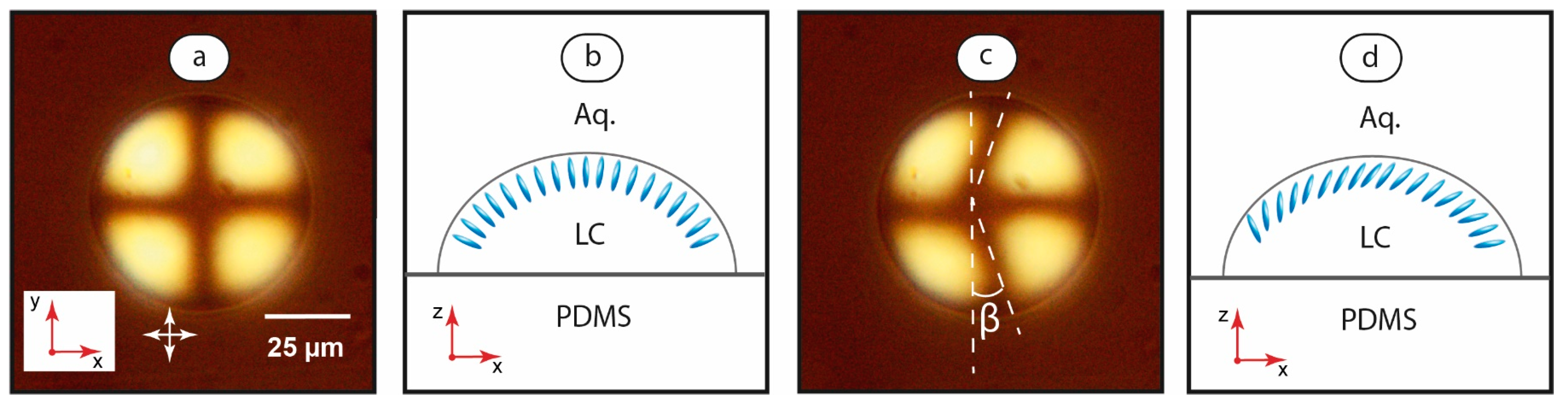 Coatings 13 00169 g005