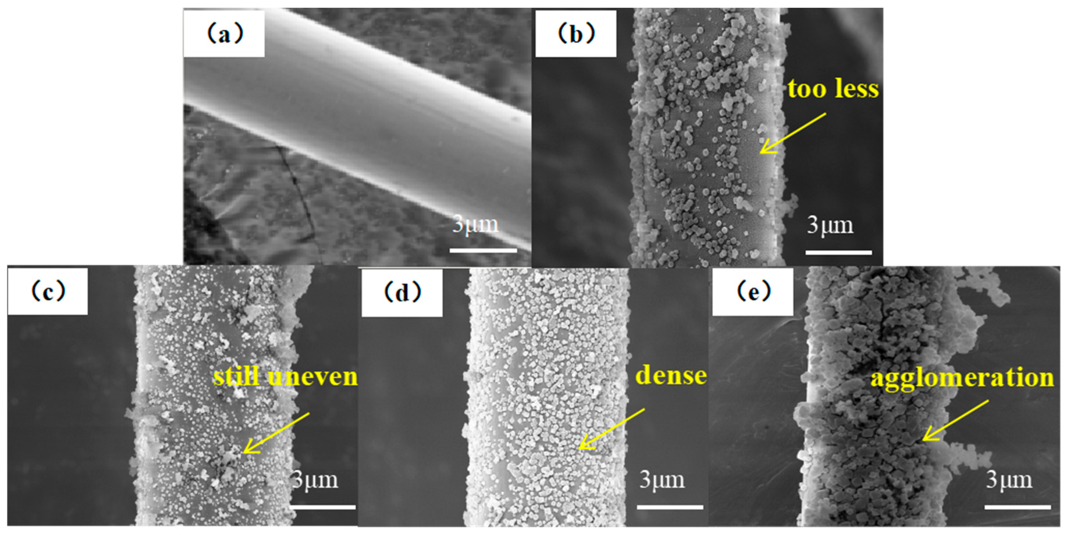 Coatings 13 00170 g005