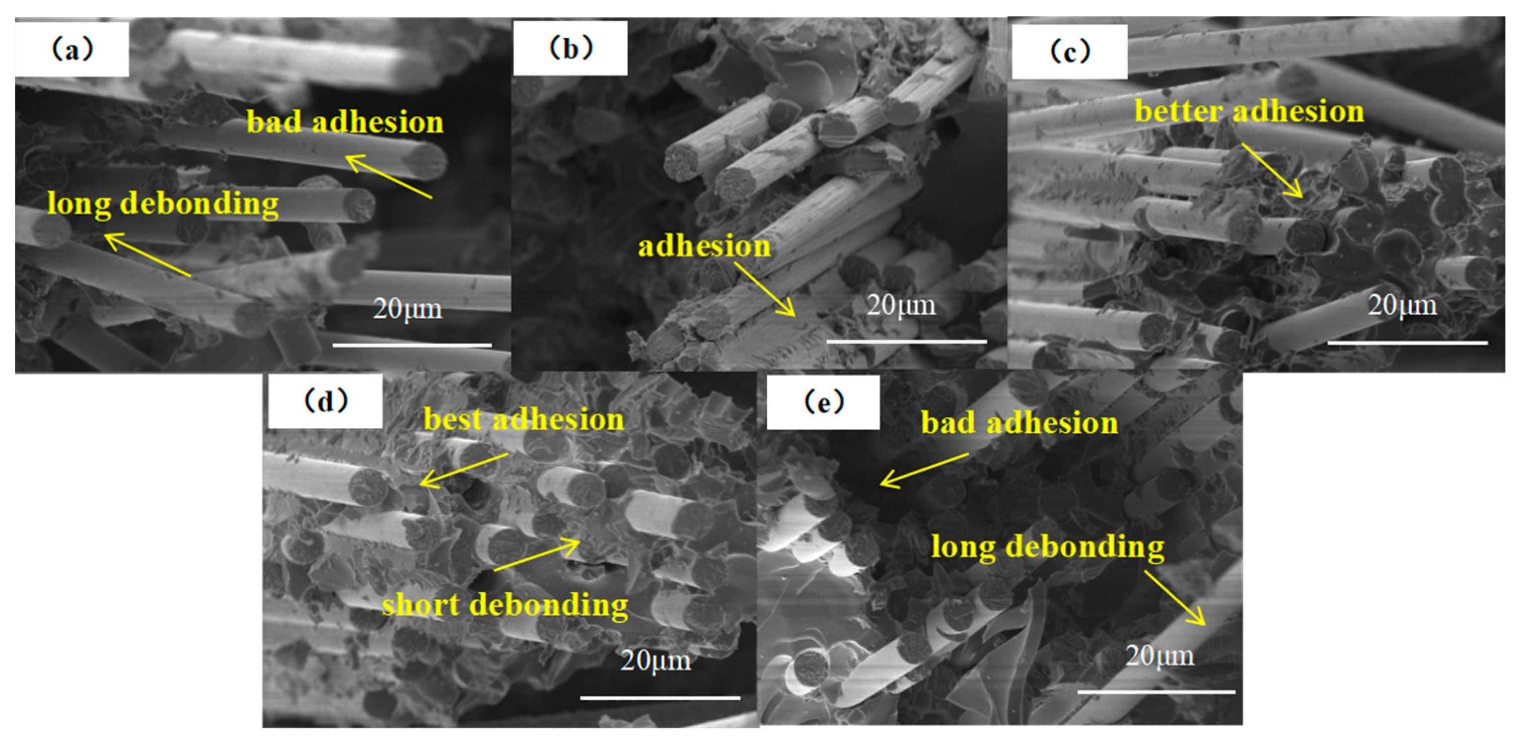 Coatings 13 00170 g008