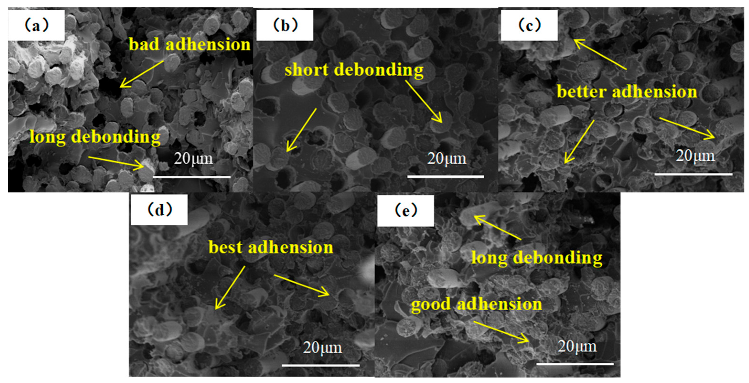 Coatings 13 00170 g010