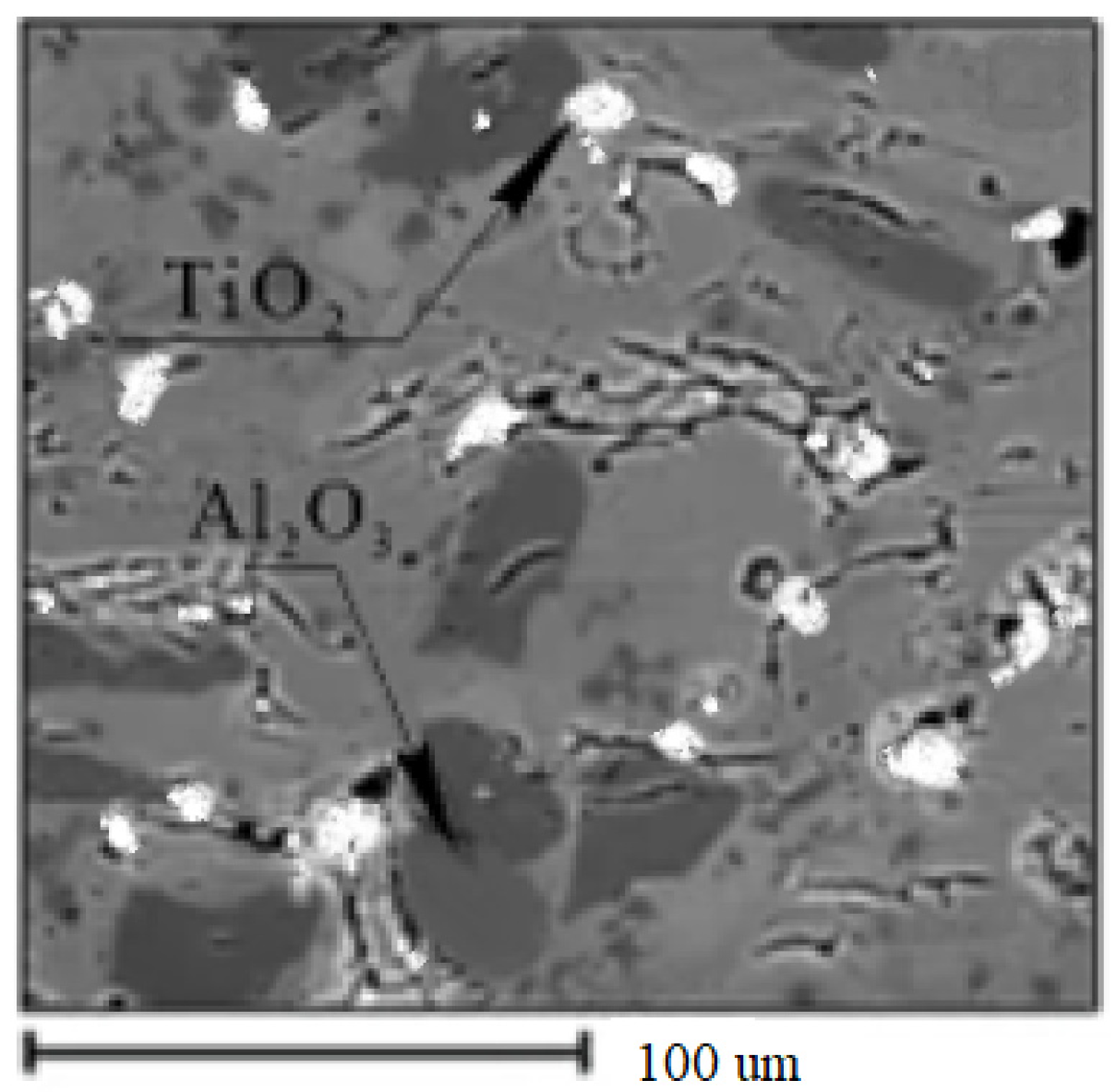 Coatings 13 00171 g026