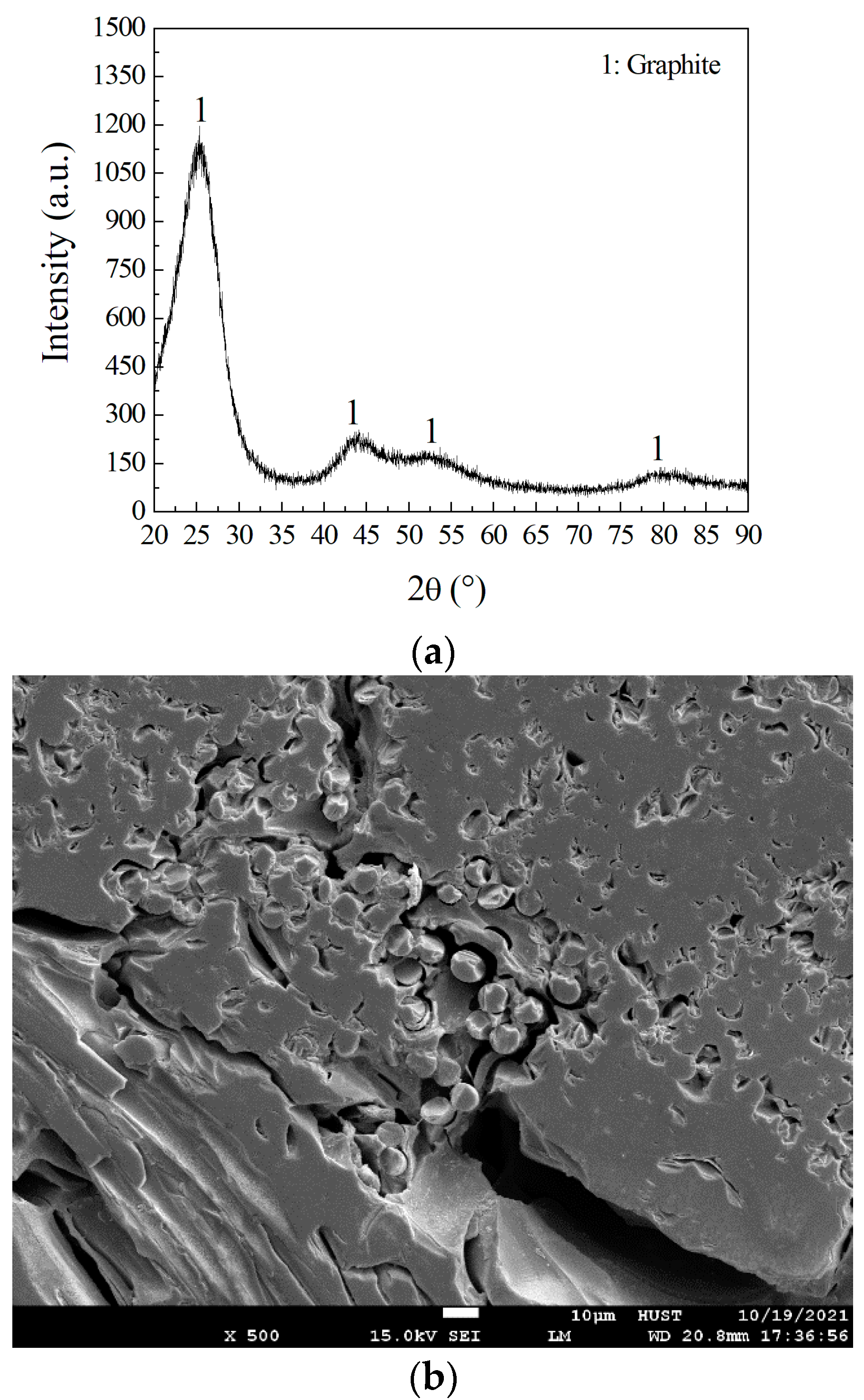 Coatings 13 00173 g001