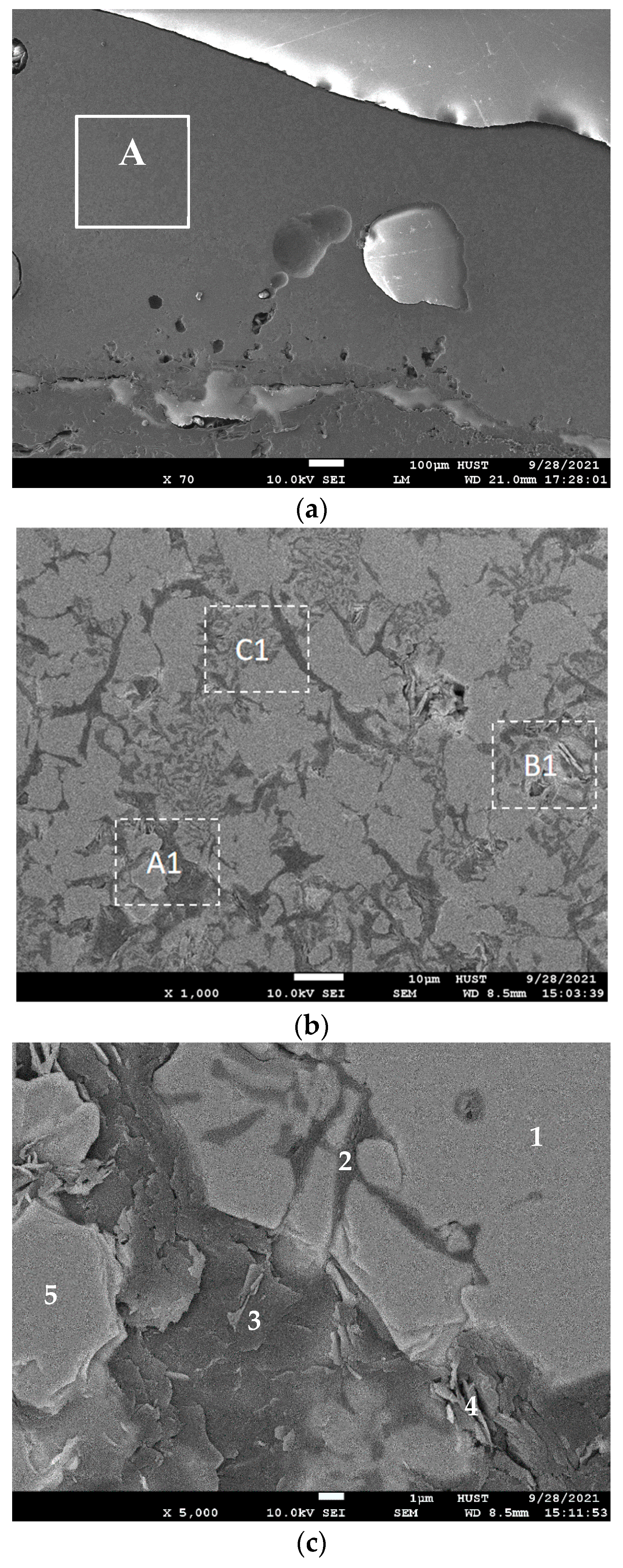 Coatings 13 00173 g004a
