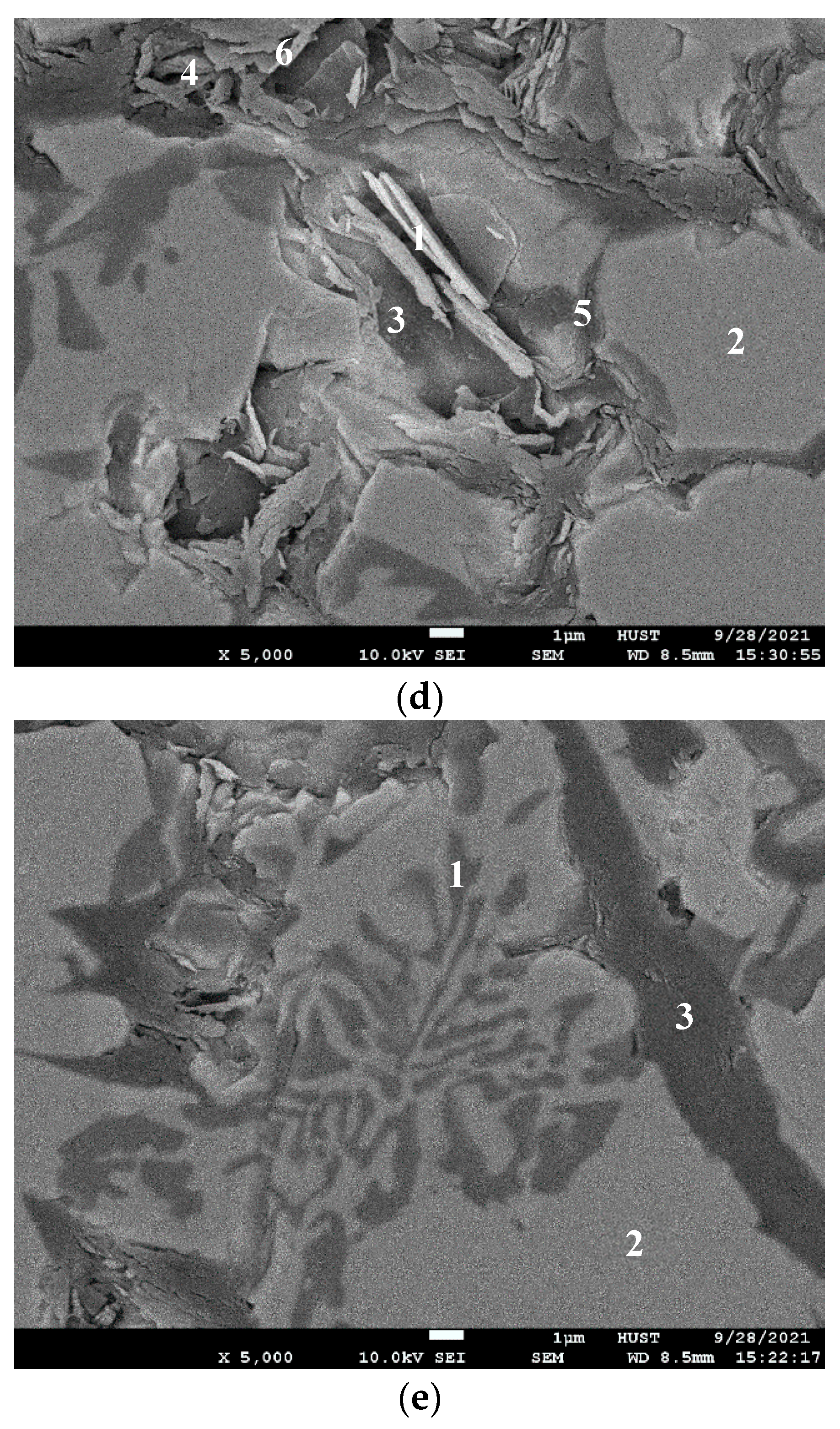 Coatings 13 00173 g004b
