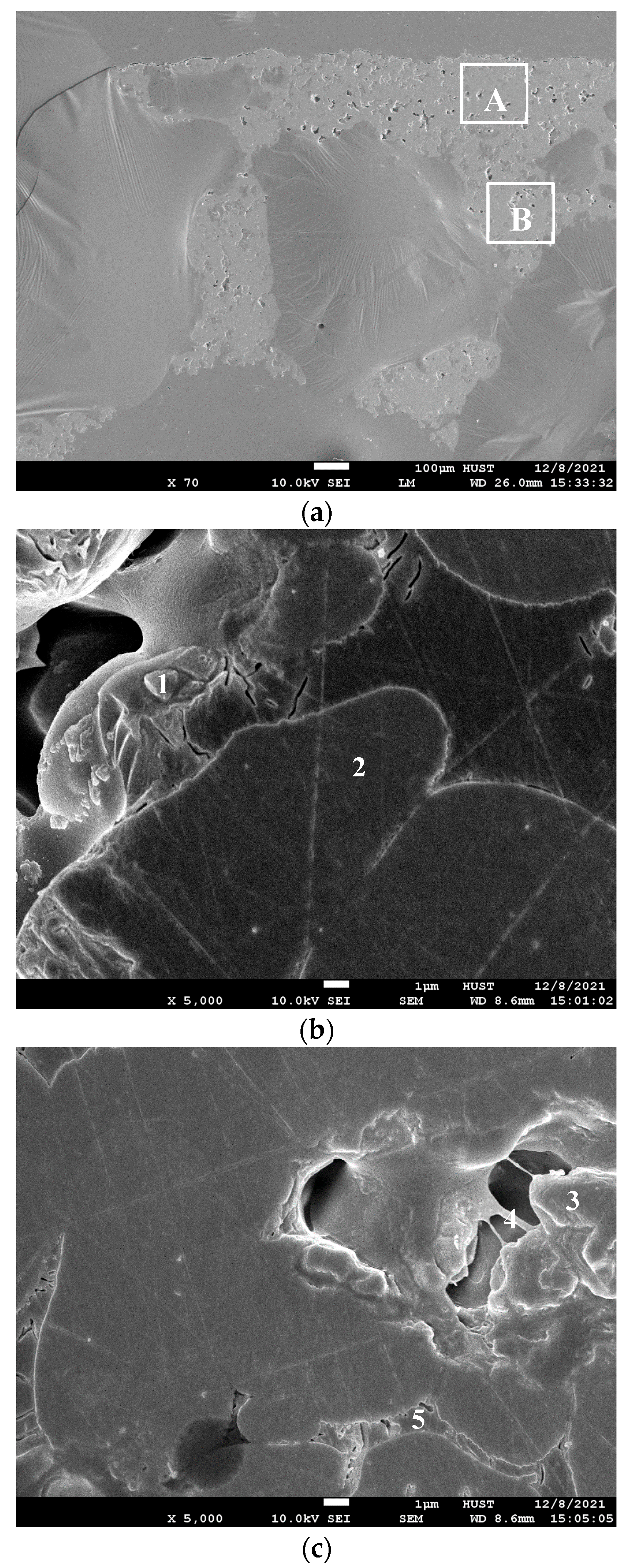 Coatings 13 00173 g007