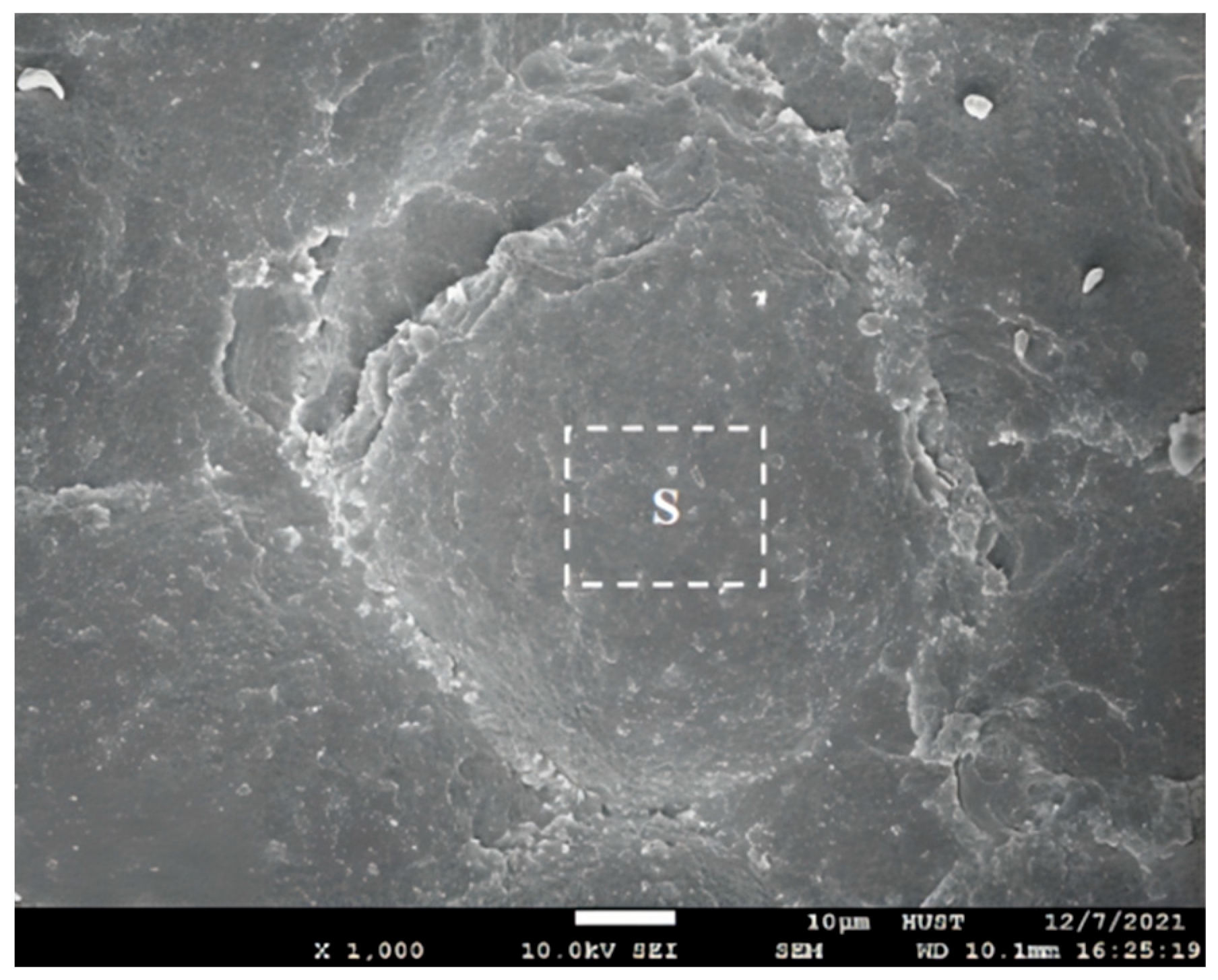 Coatings 13 00173 g012