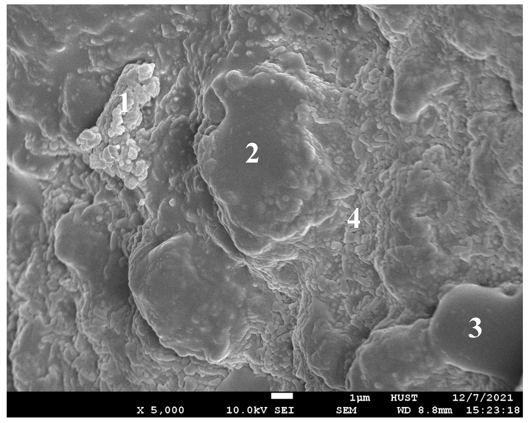 Coatings 13 00173 g013
