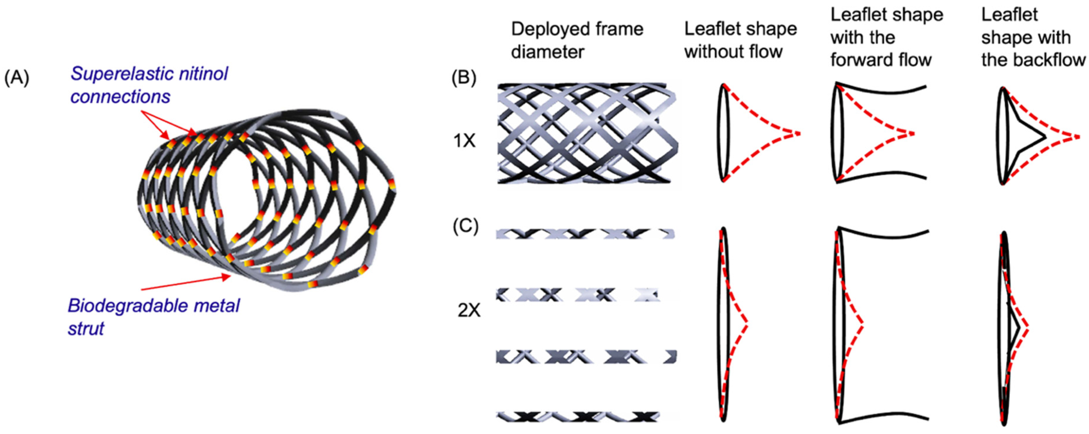 Coatings 13 00184 g001