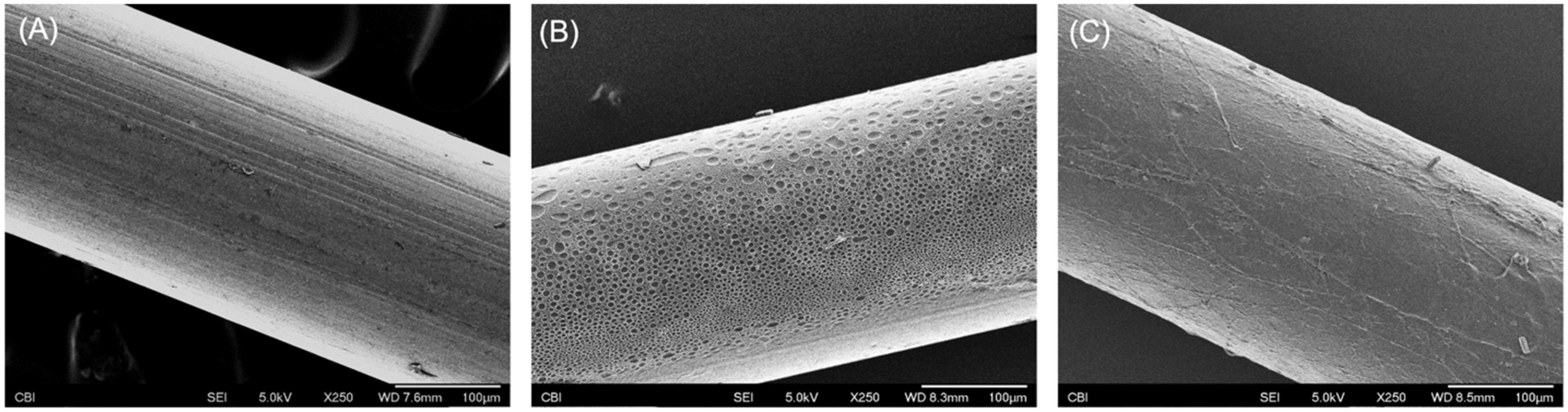 Coatings 13 00184 g002