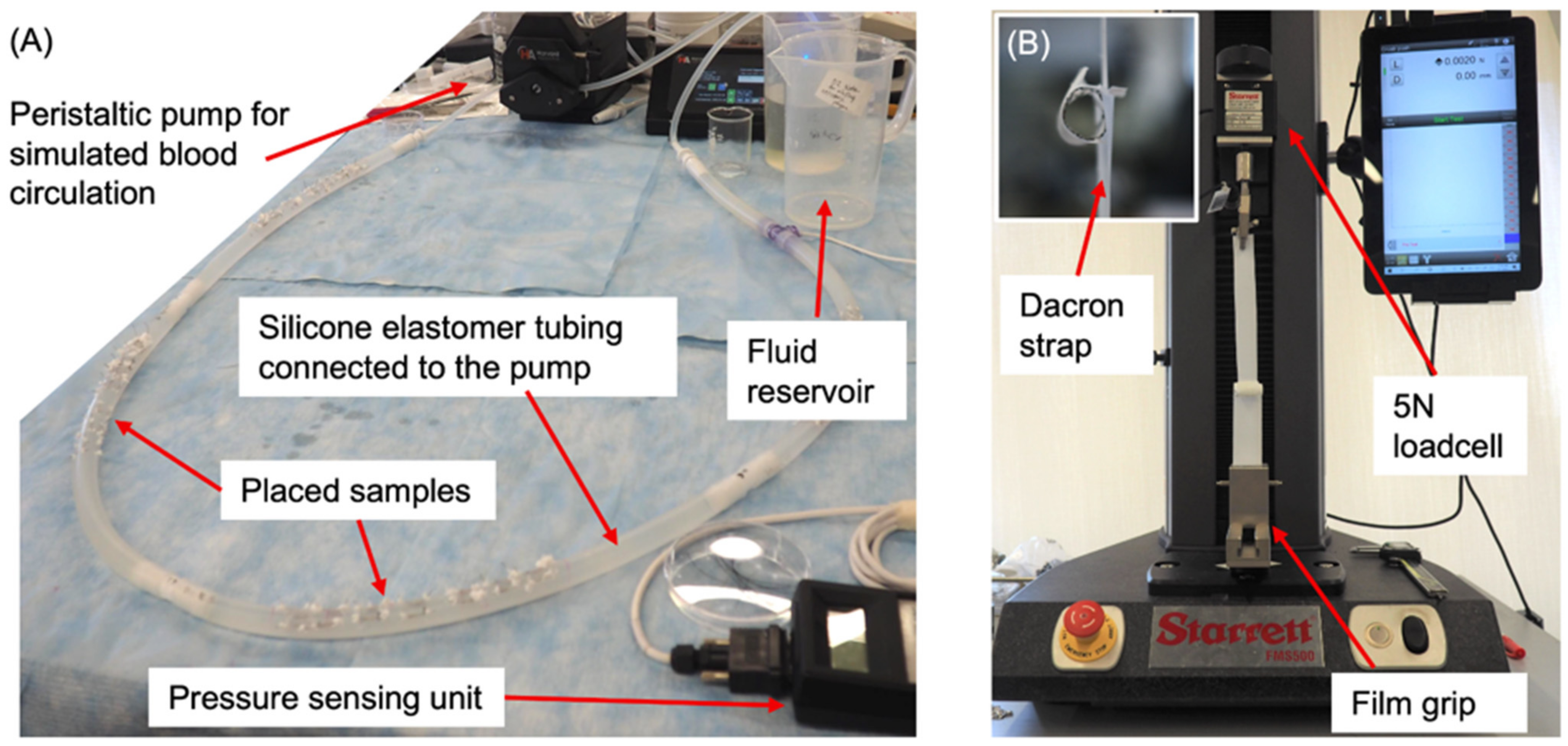 Coatings 13 00184 g003