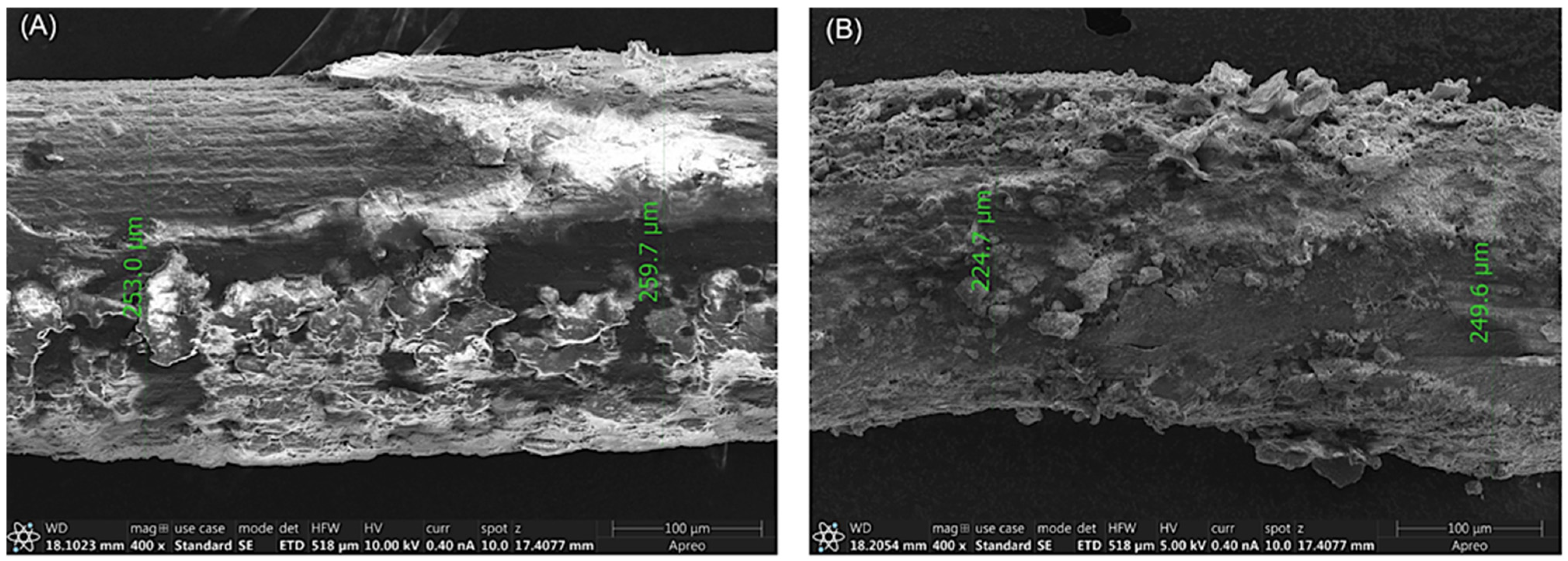 Coatings 13 00184 g006