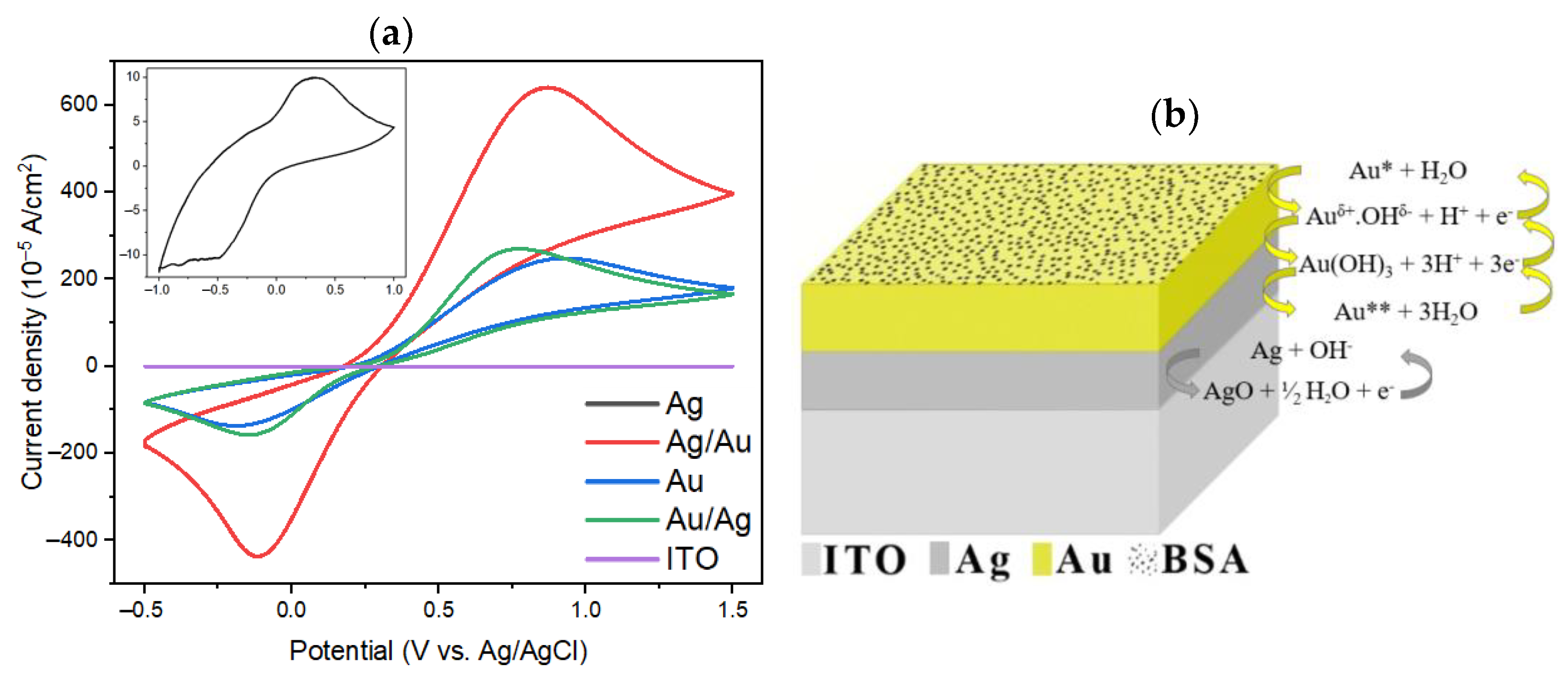 Coatings 13 00186 g004