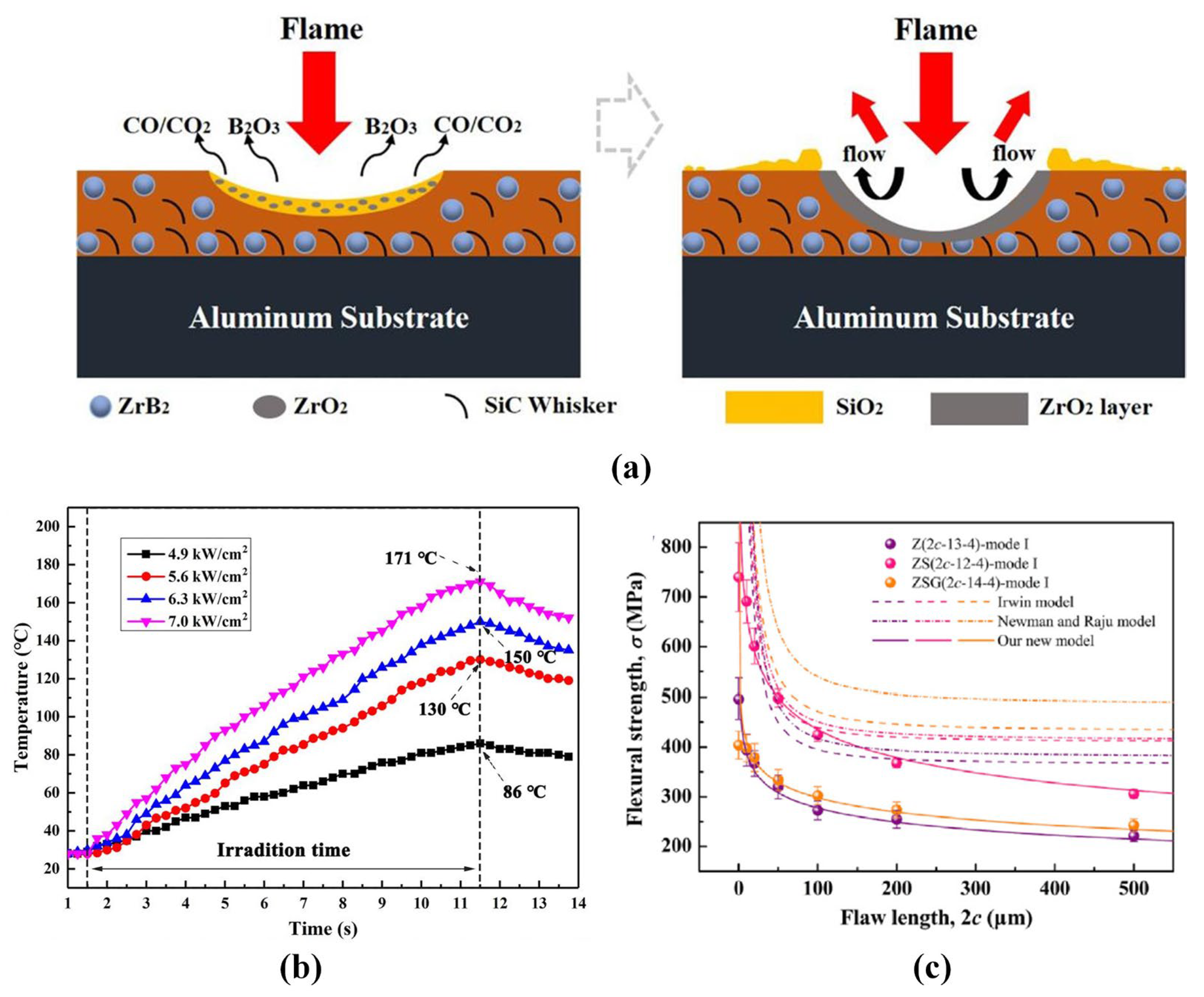 Coatings 13 00187 g003