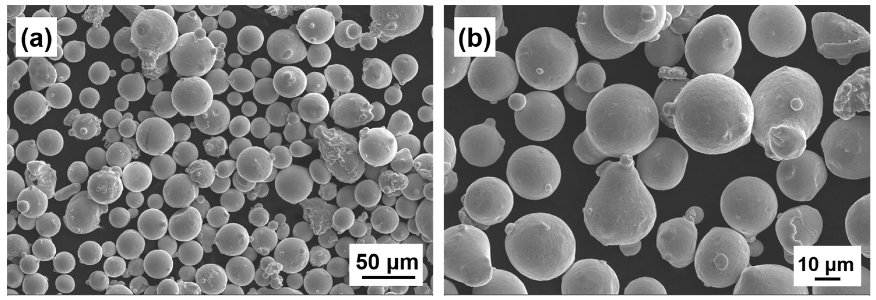 Coatings 13 00189 g001