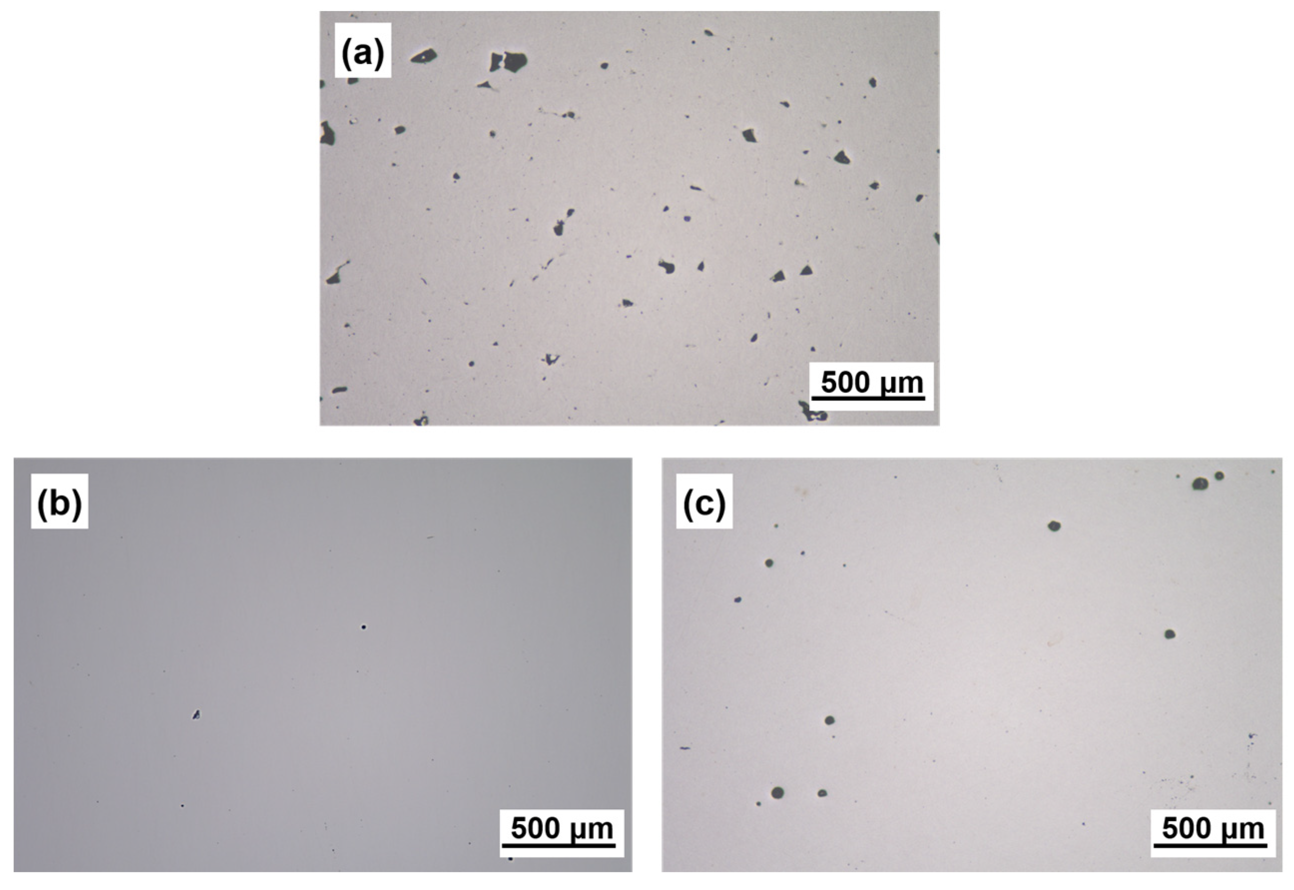 Coatings 13 00189 g003