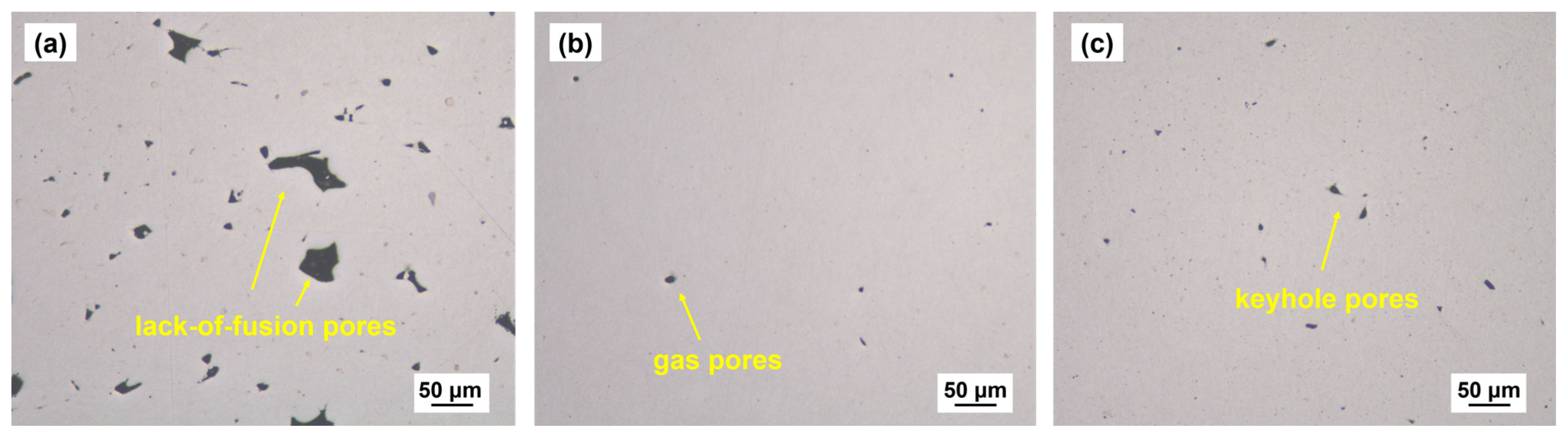 Coatings 13 00189 g005