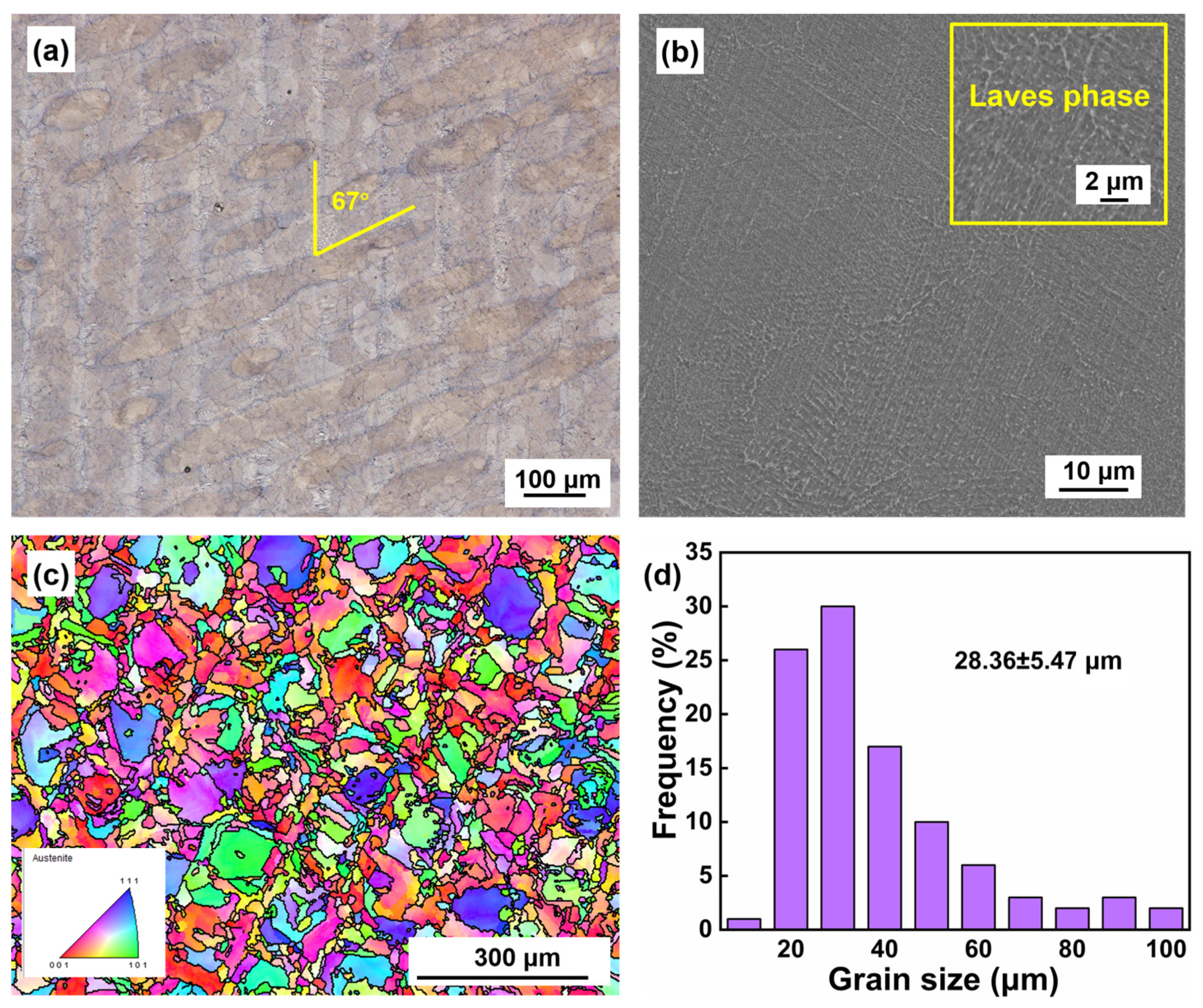 Coatings 13 00189 g008