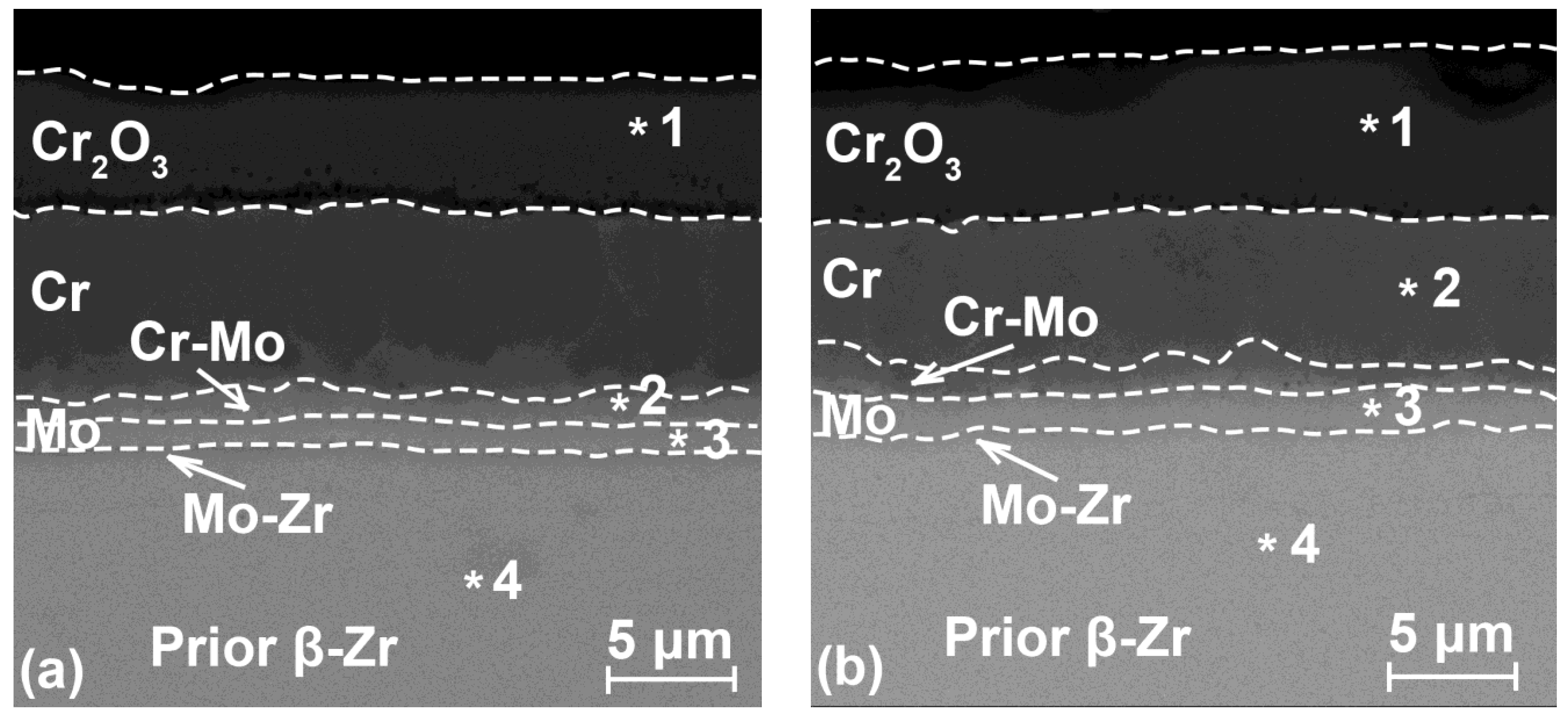 Coatings 13 00191 g007