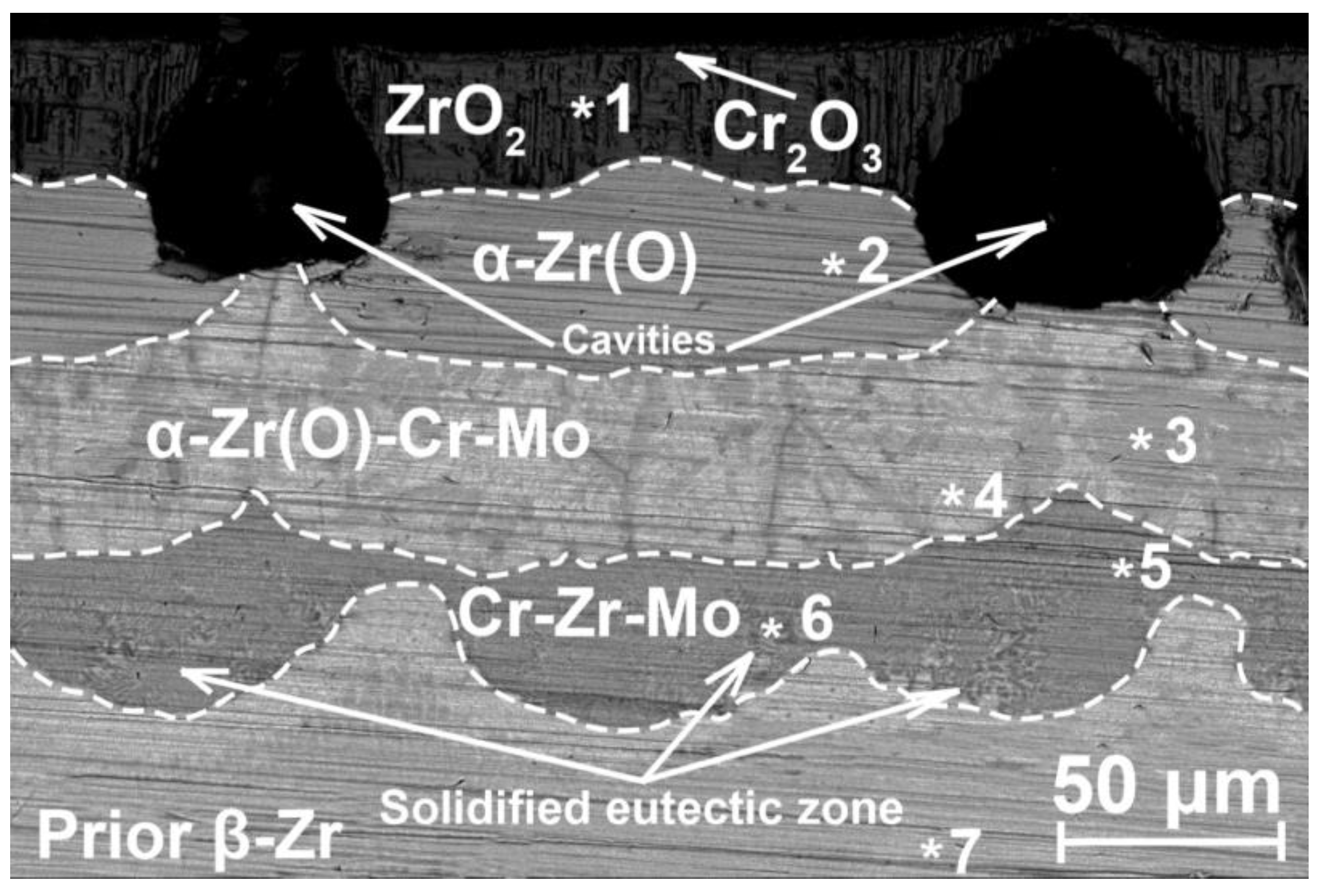 Coatings 13 00191 g009