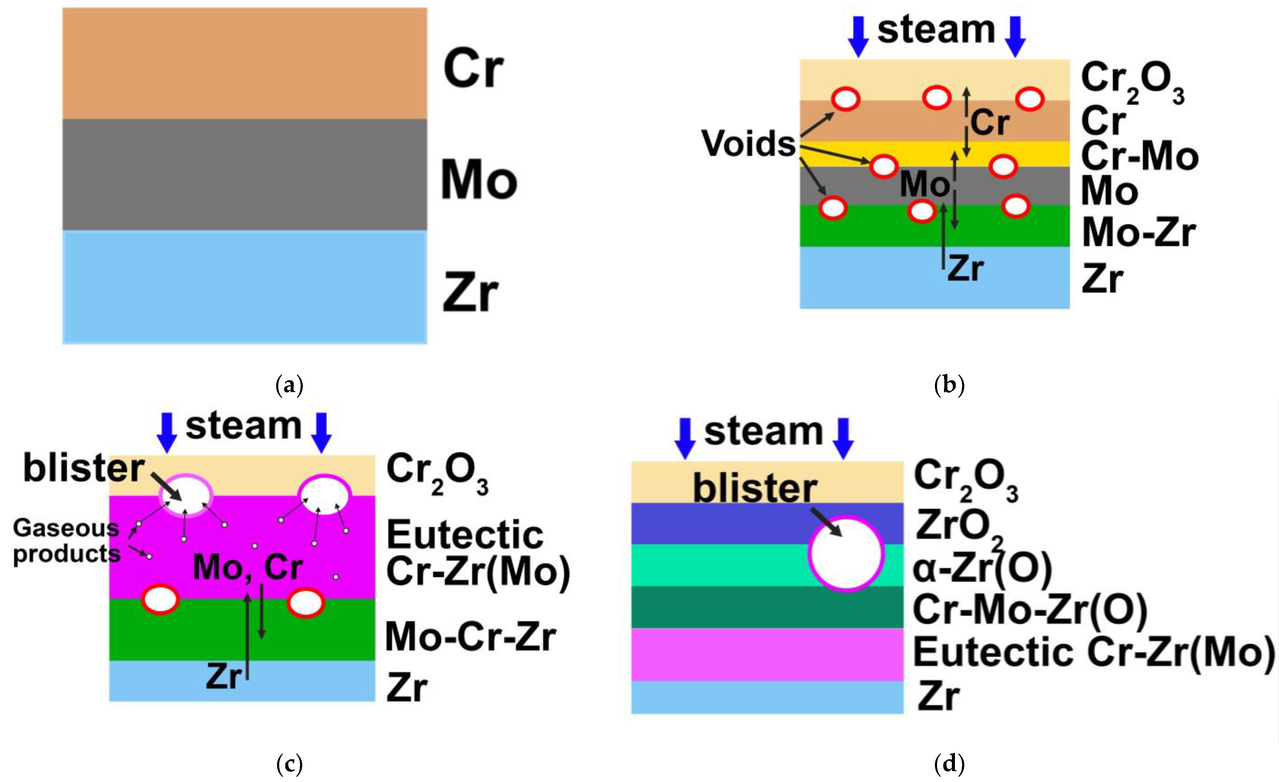 Coatings 13 00191 g010