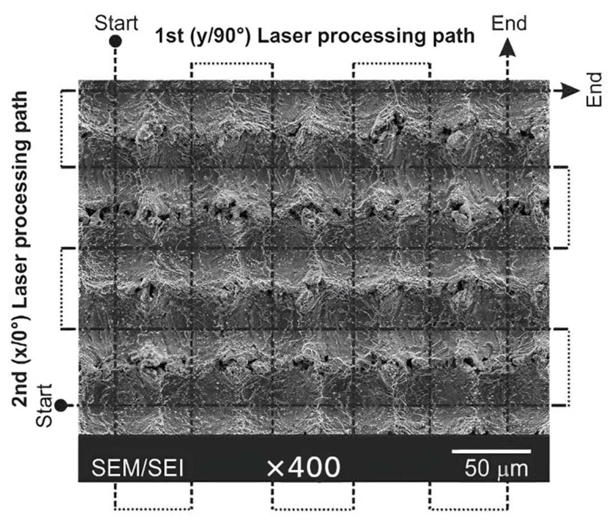Coatings 13 00194 g003