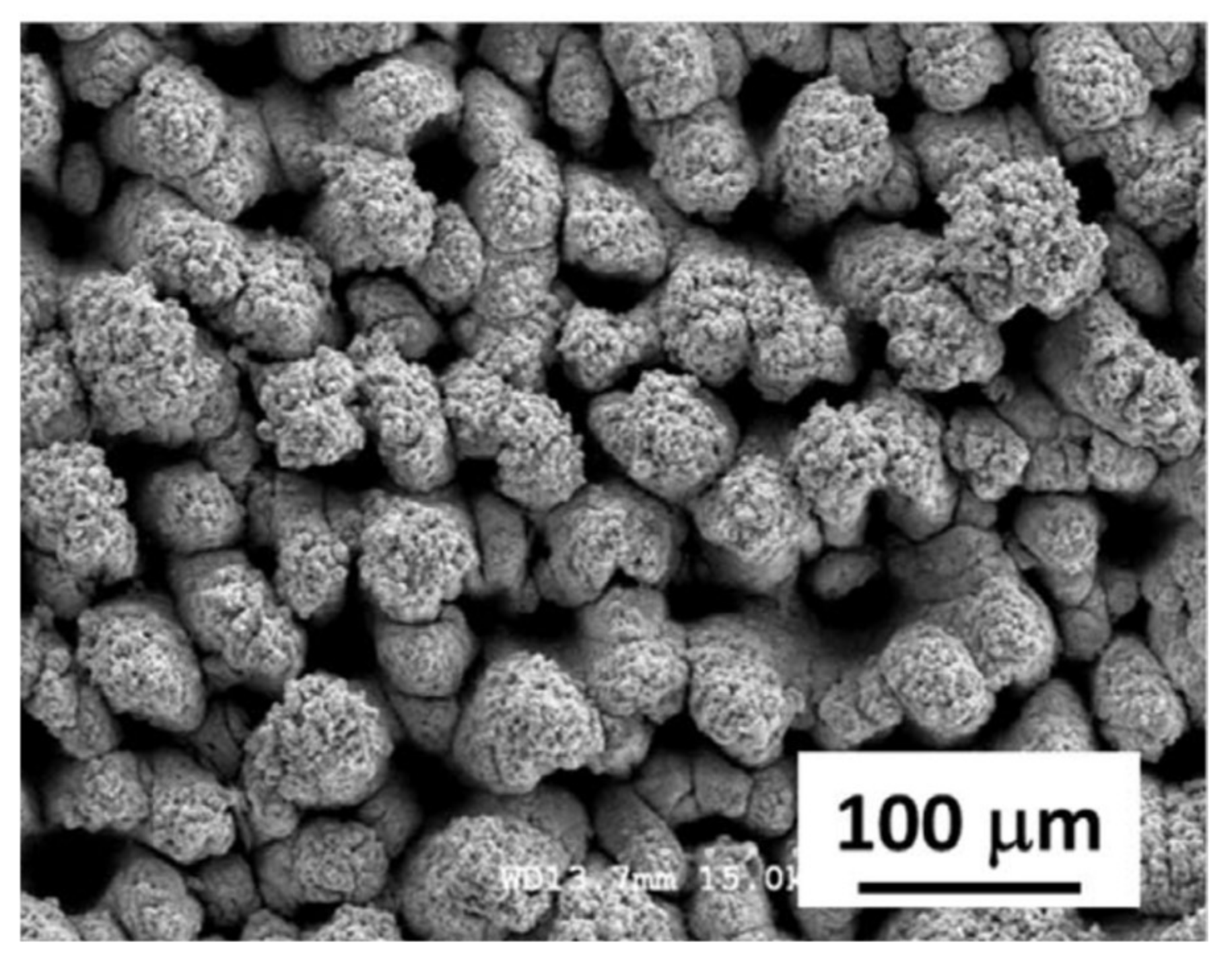 Coatings 13 00194 g005