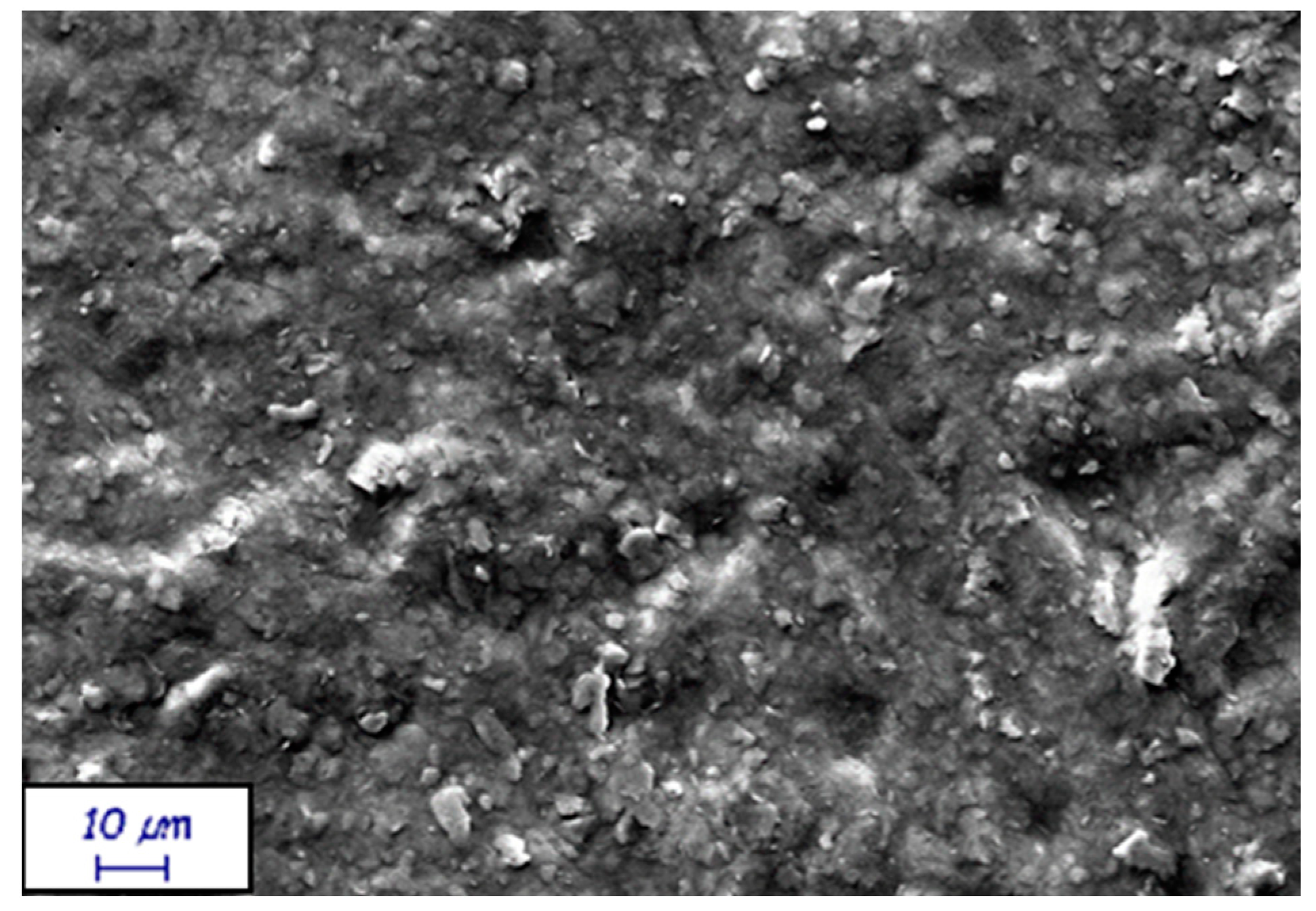 Coatings 13 00195 g004