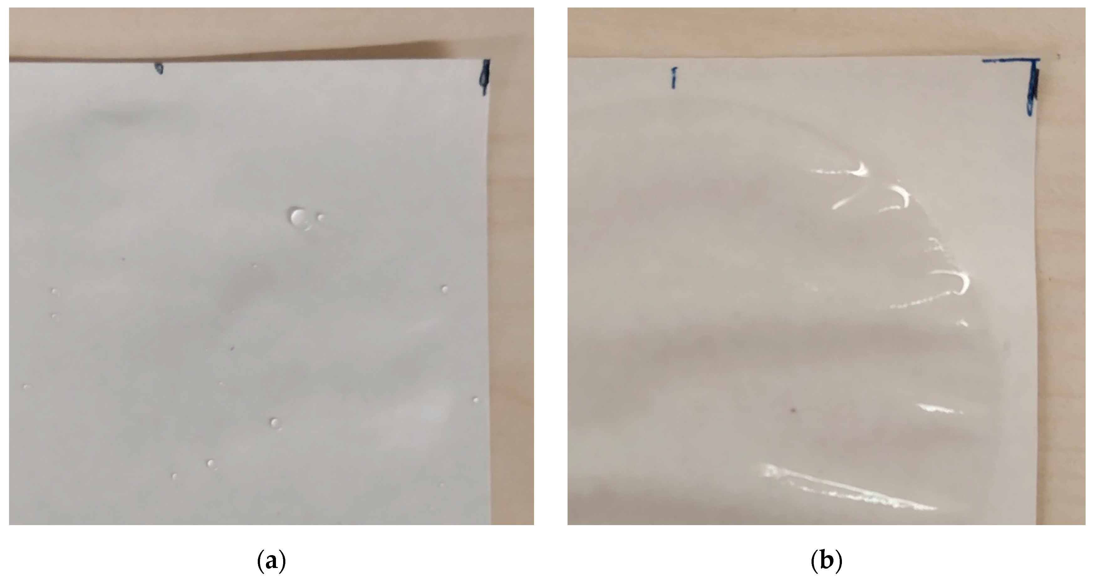 Coatings 13 00195 g005