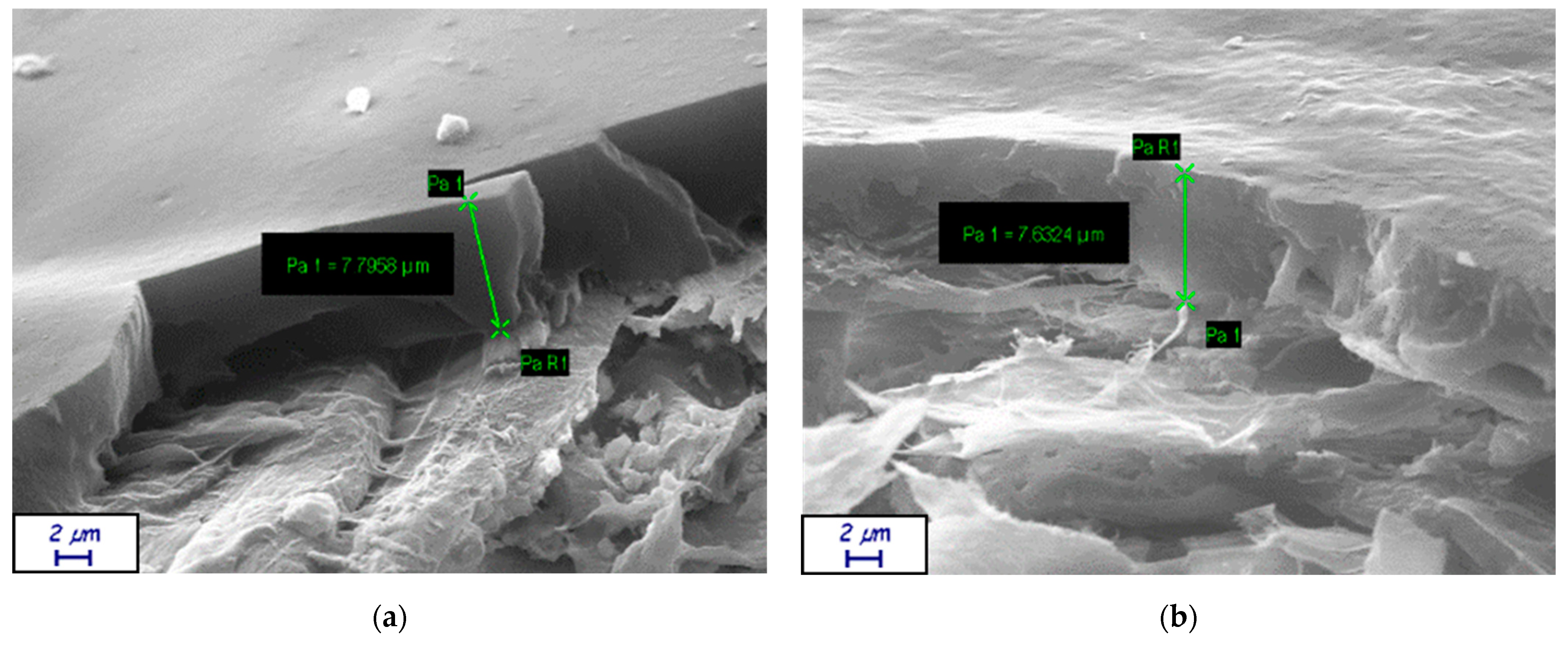 Coatings 13 00195 g0a5