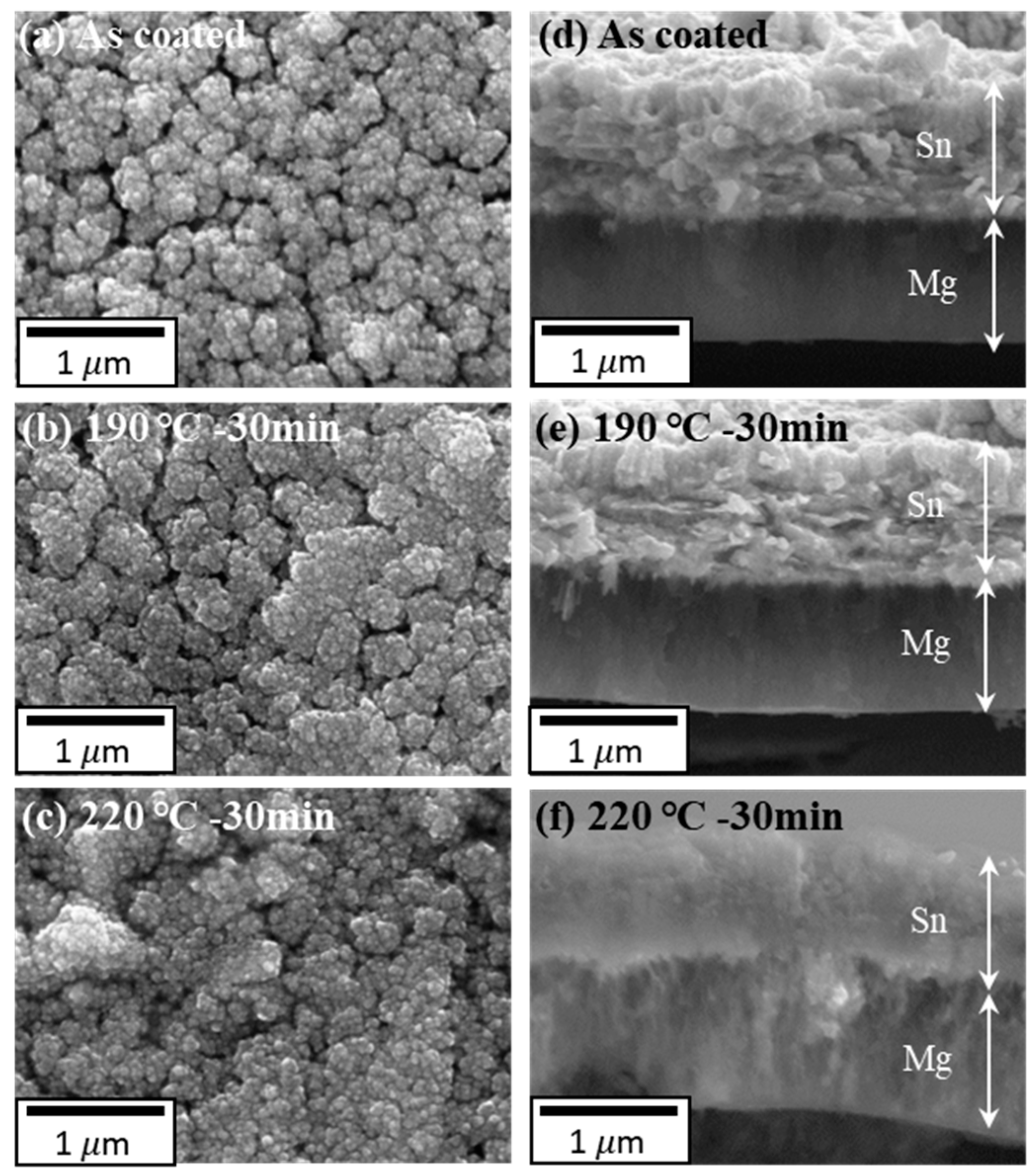 Coatings 13 00196 g002