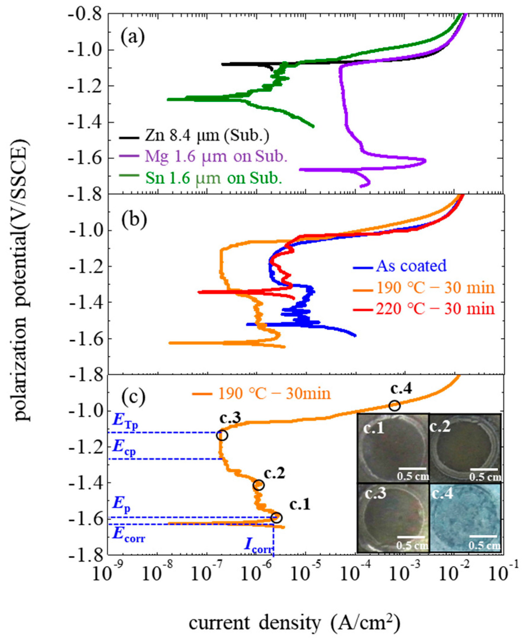 Coatings 13 00196 g007
