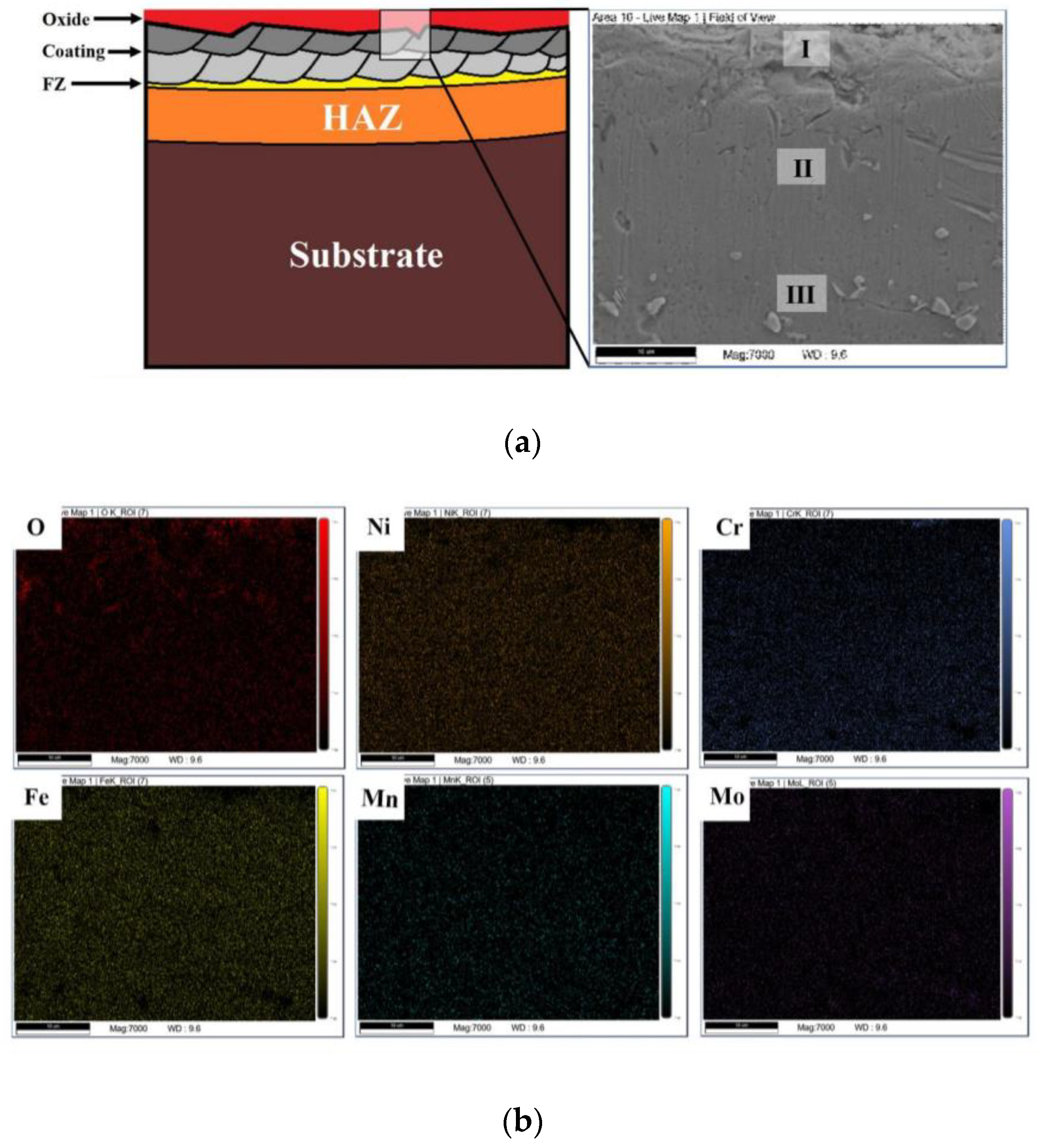 Coatings 13 00197 g010 Coatings 13 00197 g010