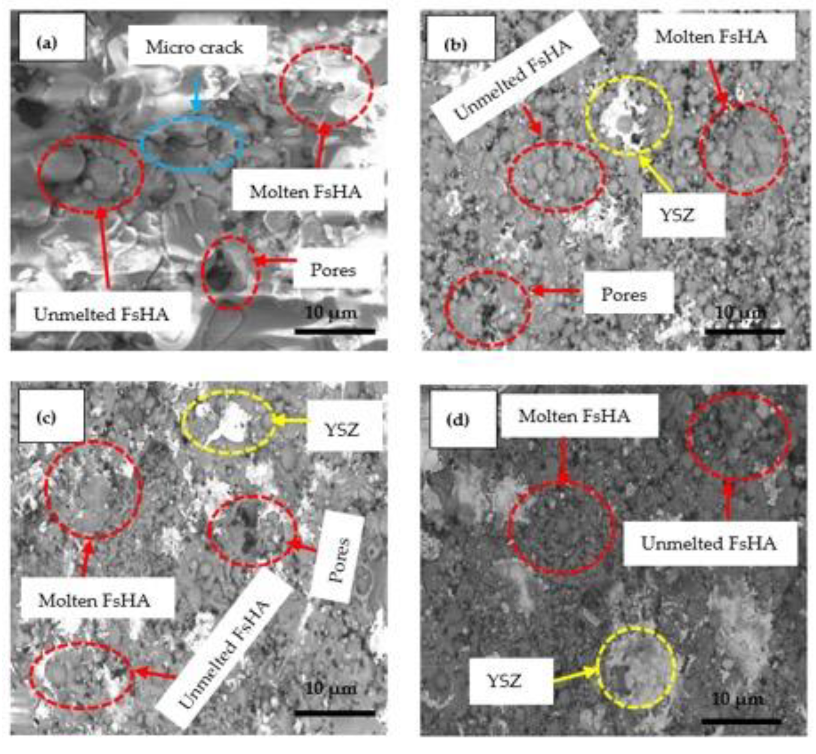 Coatings 13 00199 g006 Coatings 13 00199 g006