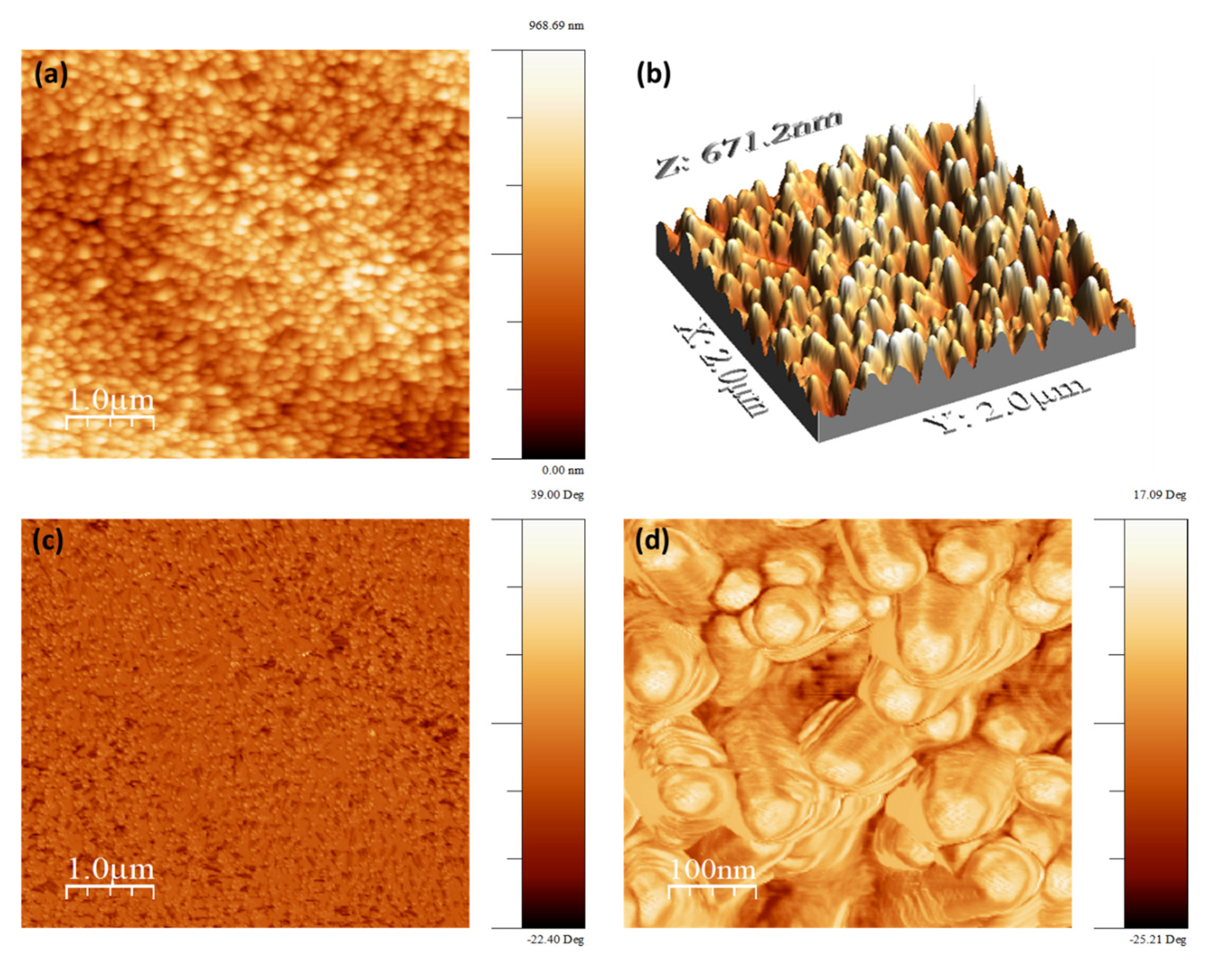 Coatings 13 00200 g009