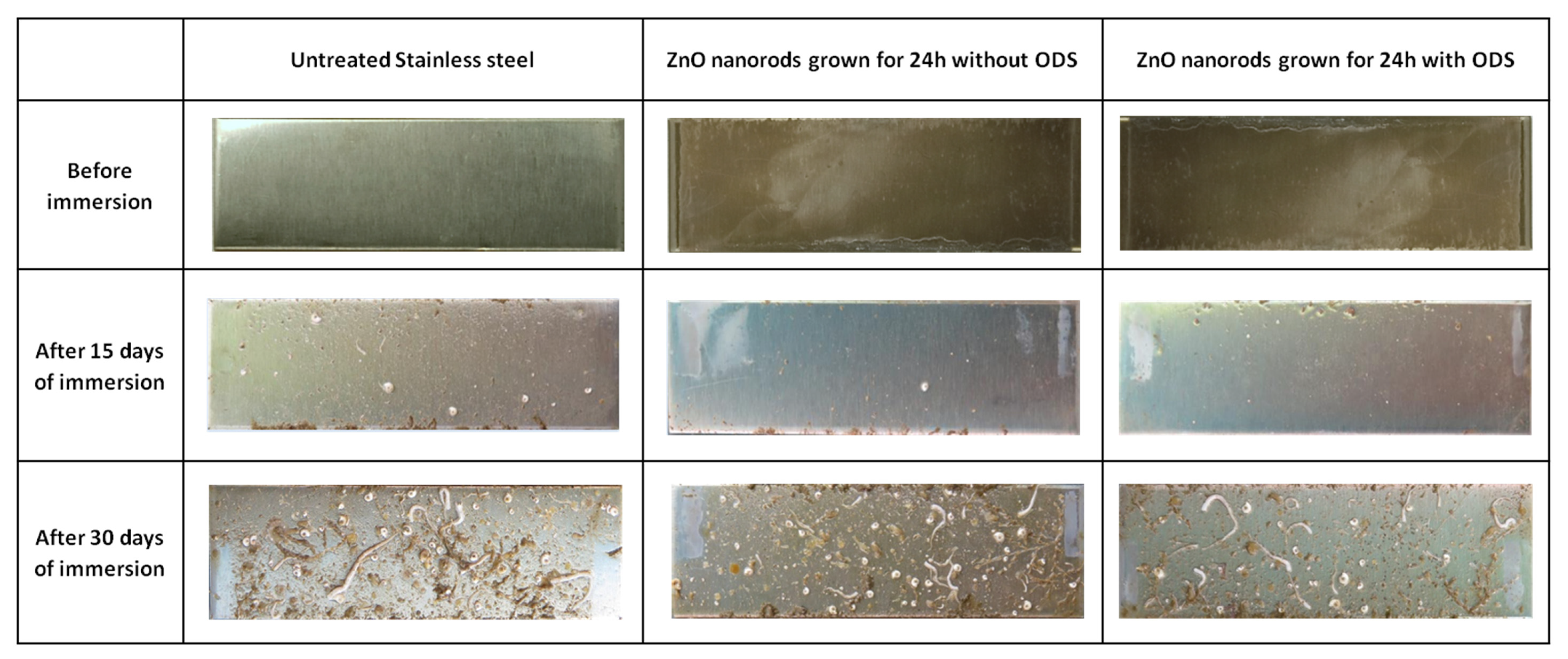 Coatings 13 00200 g011