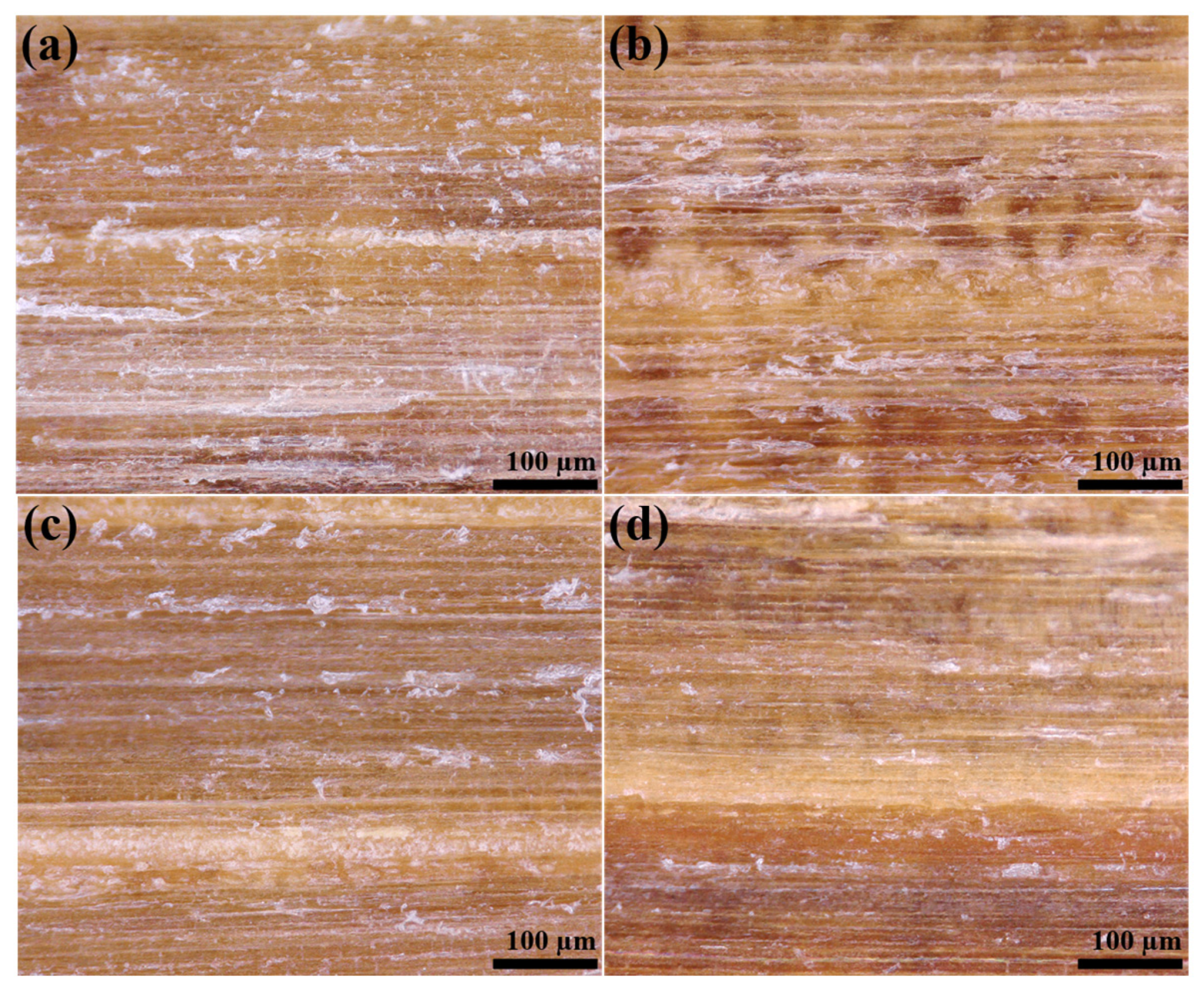 Coatings 13 00203 g001