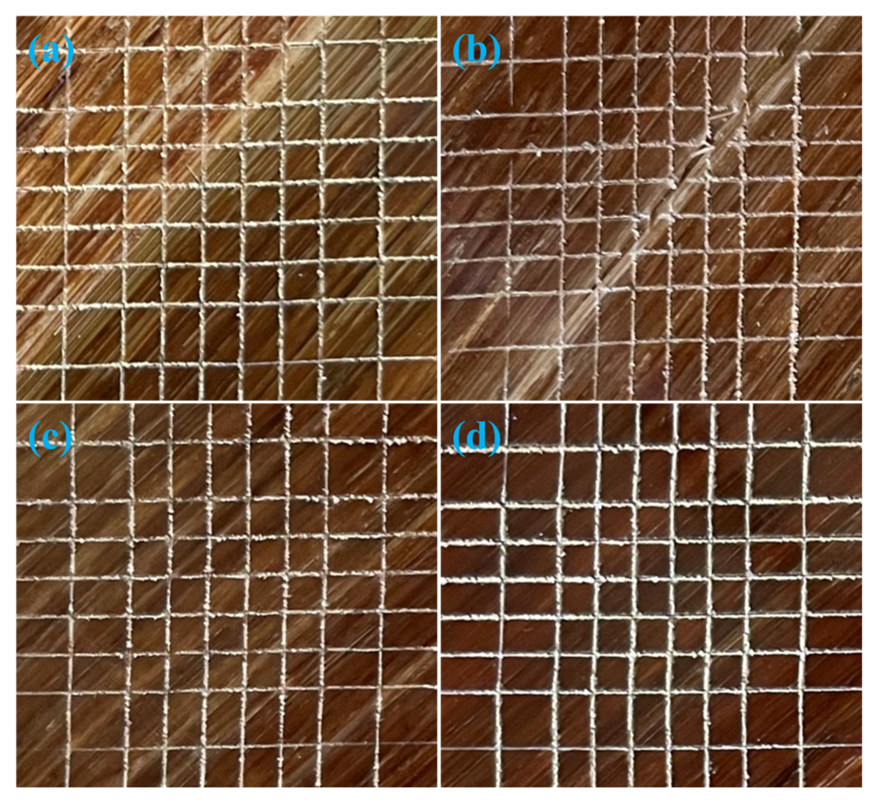 Coatings 13 00203 g008