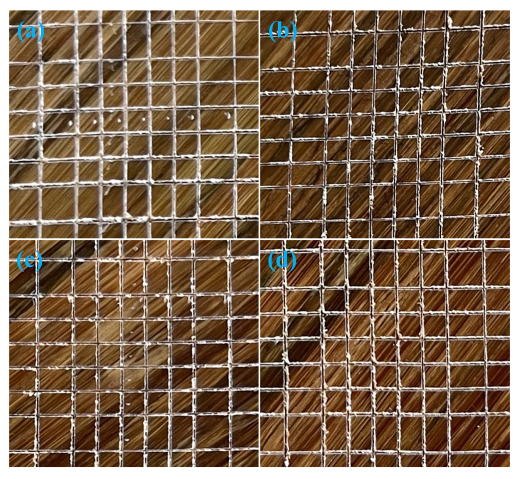 Coatings 13 00203 g009